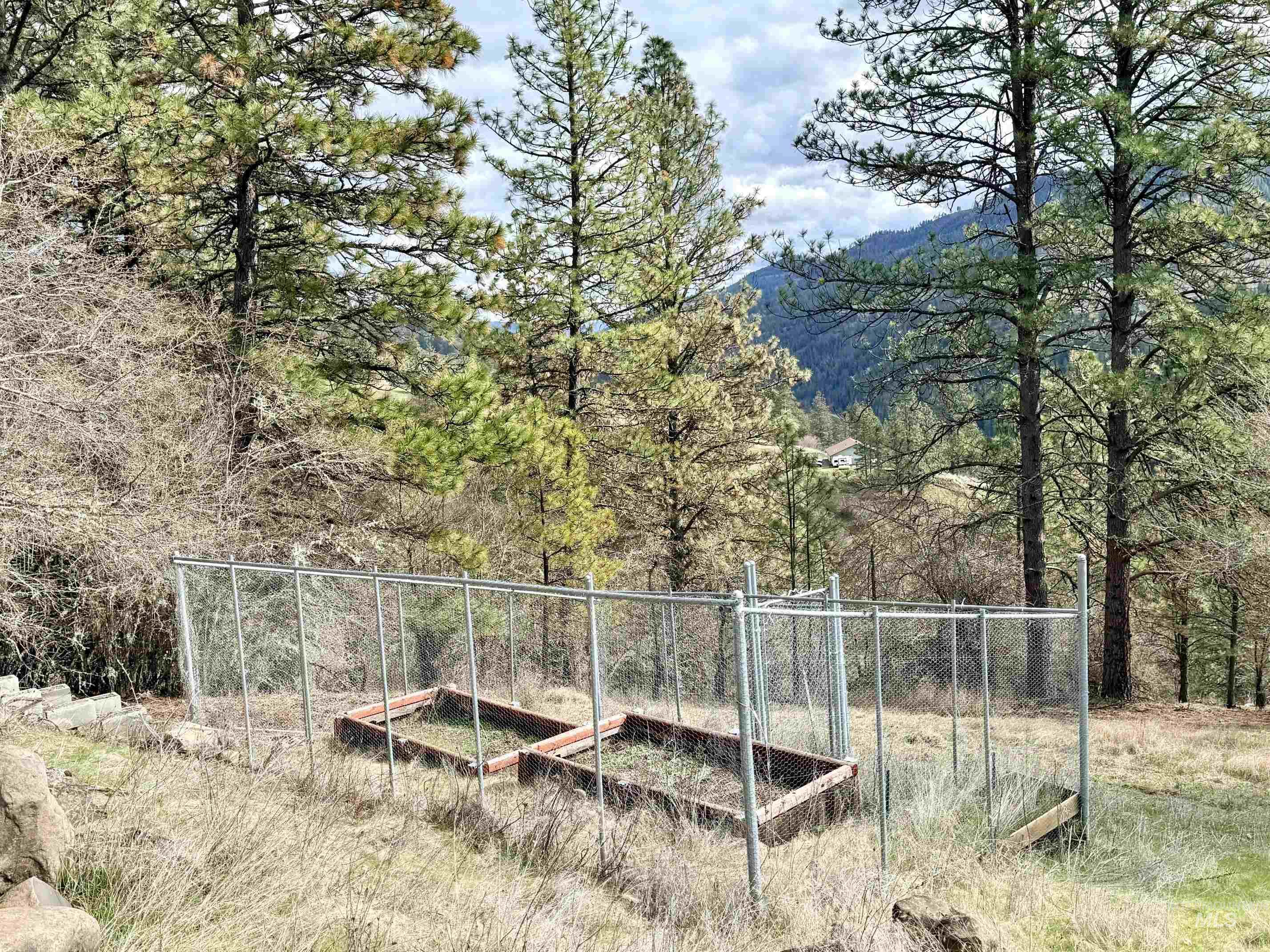 620 Old Peck Grade, Lenore, Idaho 83541, Land For Sale, Price $300,000, 98977220