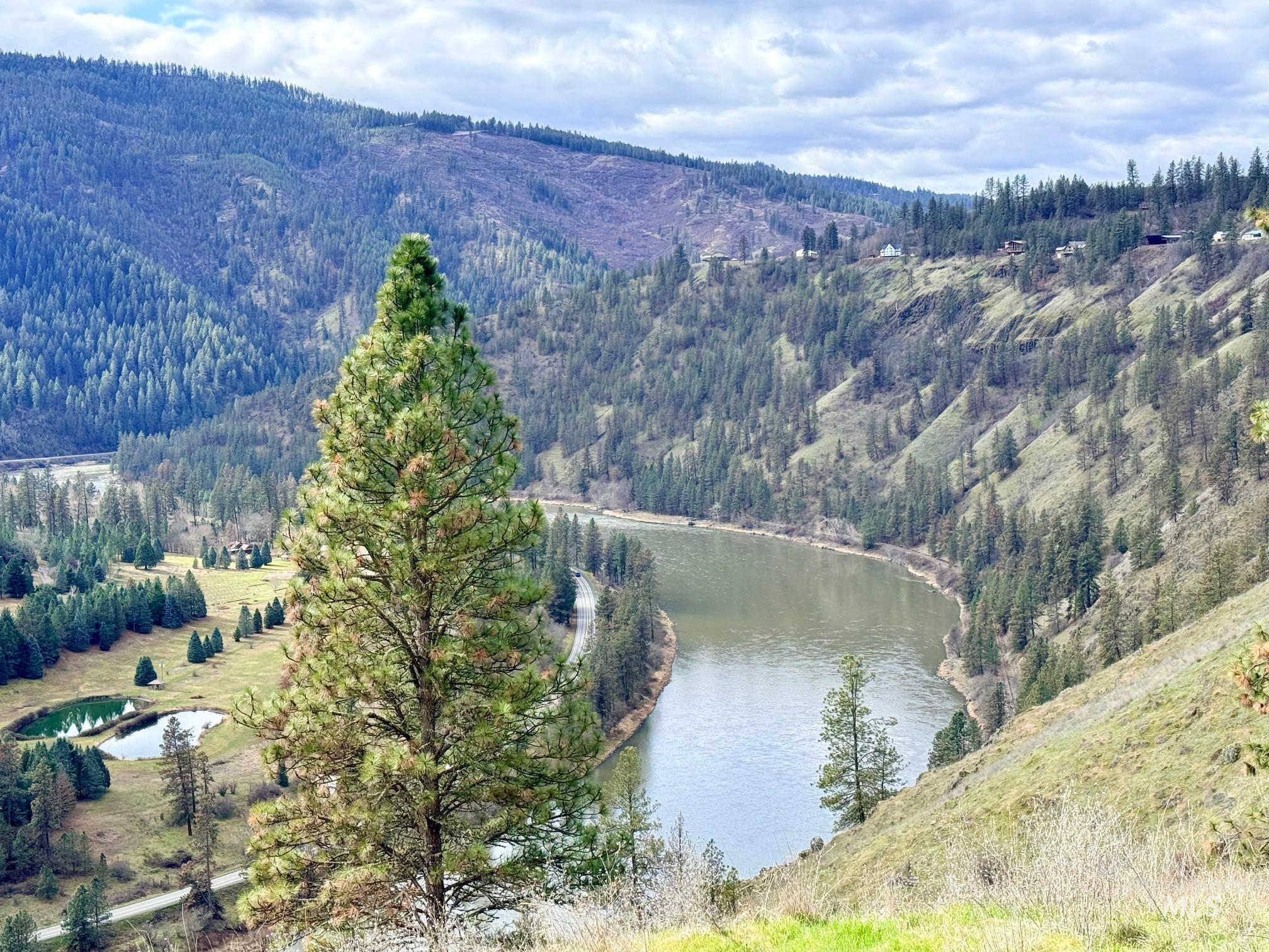 620 Old Peck Grade, Lenore, Idaho 83541, Land For Sale, Price $300,000,MLS 98977220