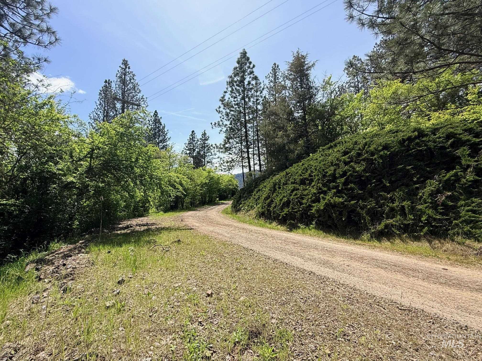 620 Old Peck Grade, Lenore, Idaho 83541, Land For Sale, Price $300,000, 98977220