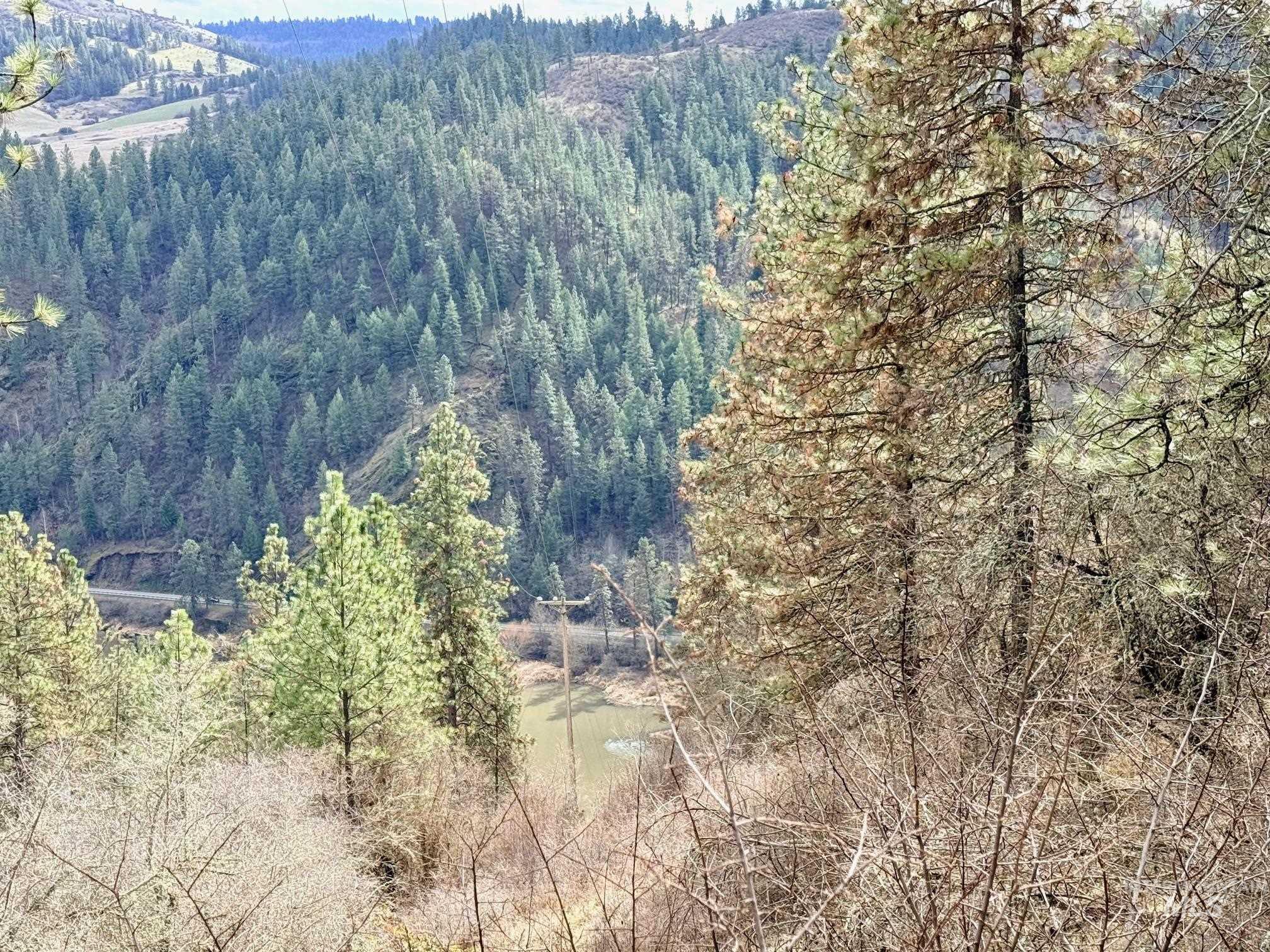 620 Old Peck Grade, Lenore, Idaho 83541, Land For Sale, Price $300,000,MLS 98977220