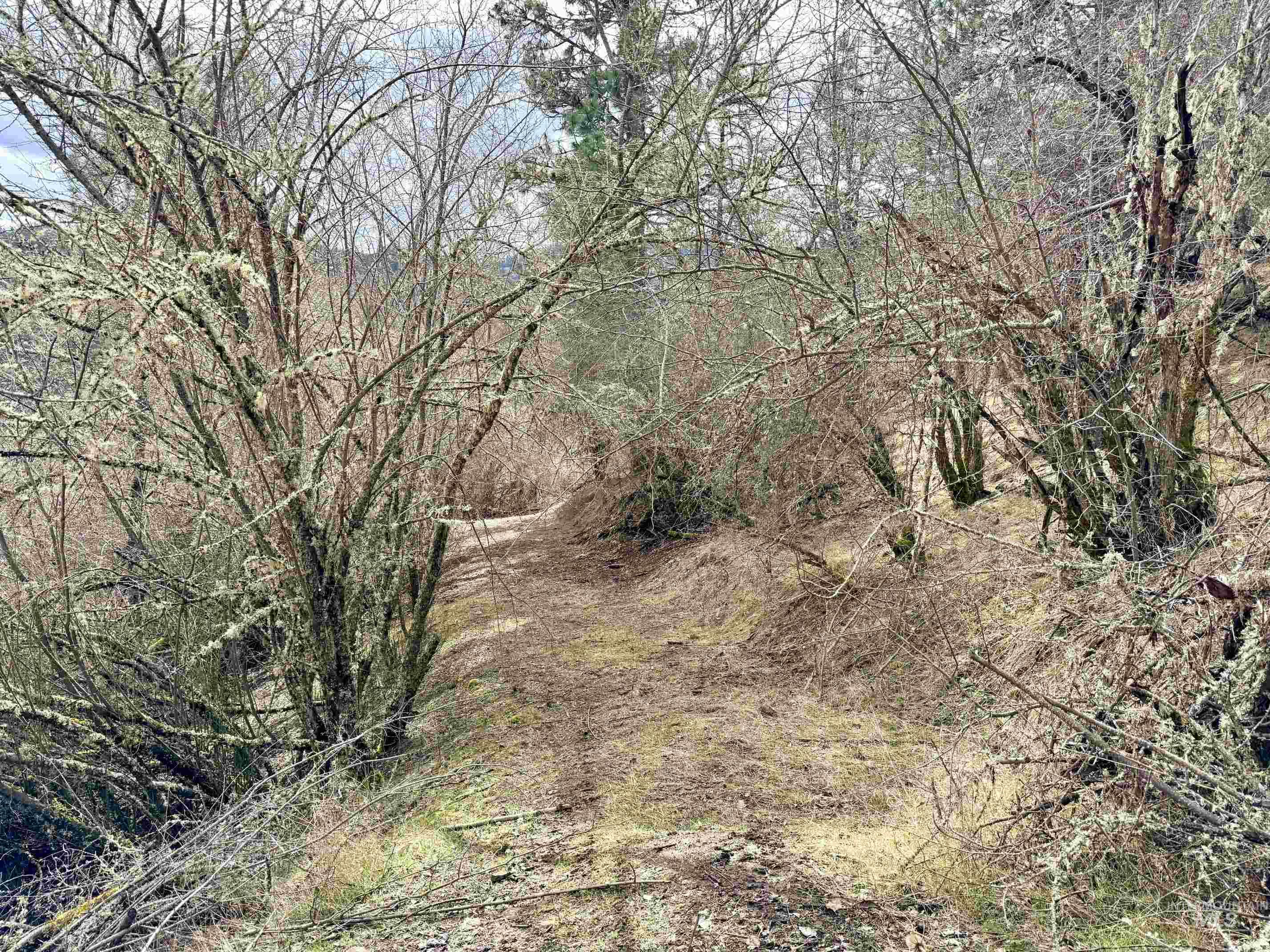 620 Old Peck Grade, Lenore, Idaho 83541, Land For Sale, Price $300,000,MLS 98977220