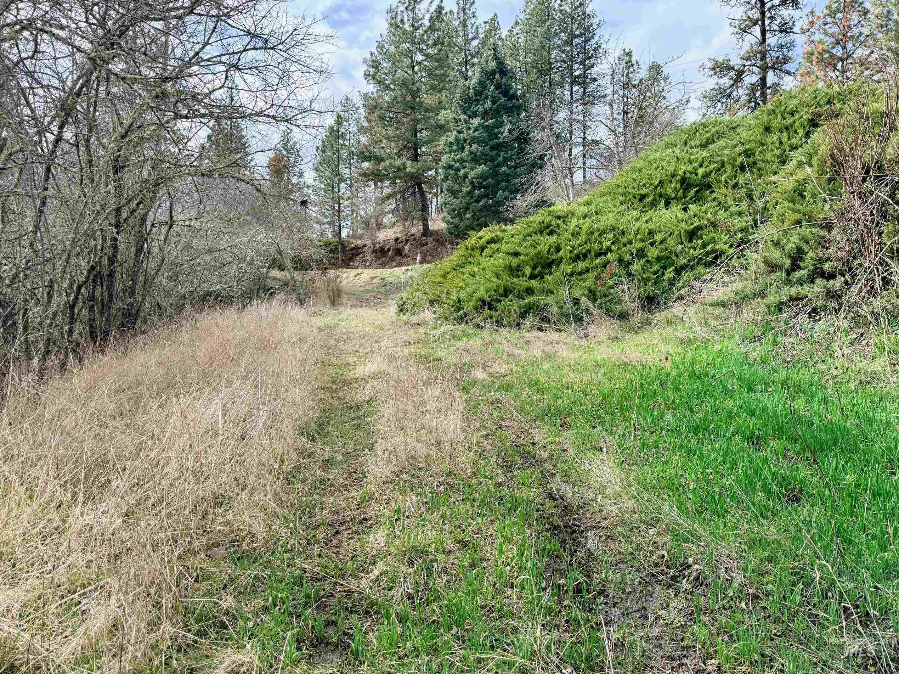 620 Old Peck Grade, Lenore, Idaho 83541, Land For Sale, Price $300,000, 98977220