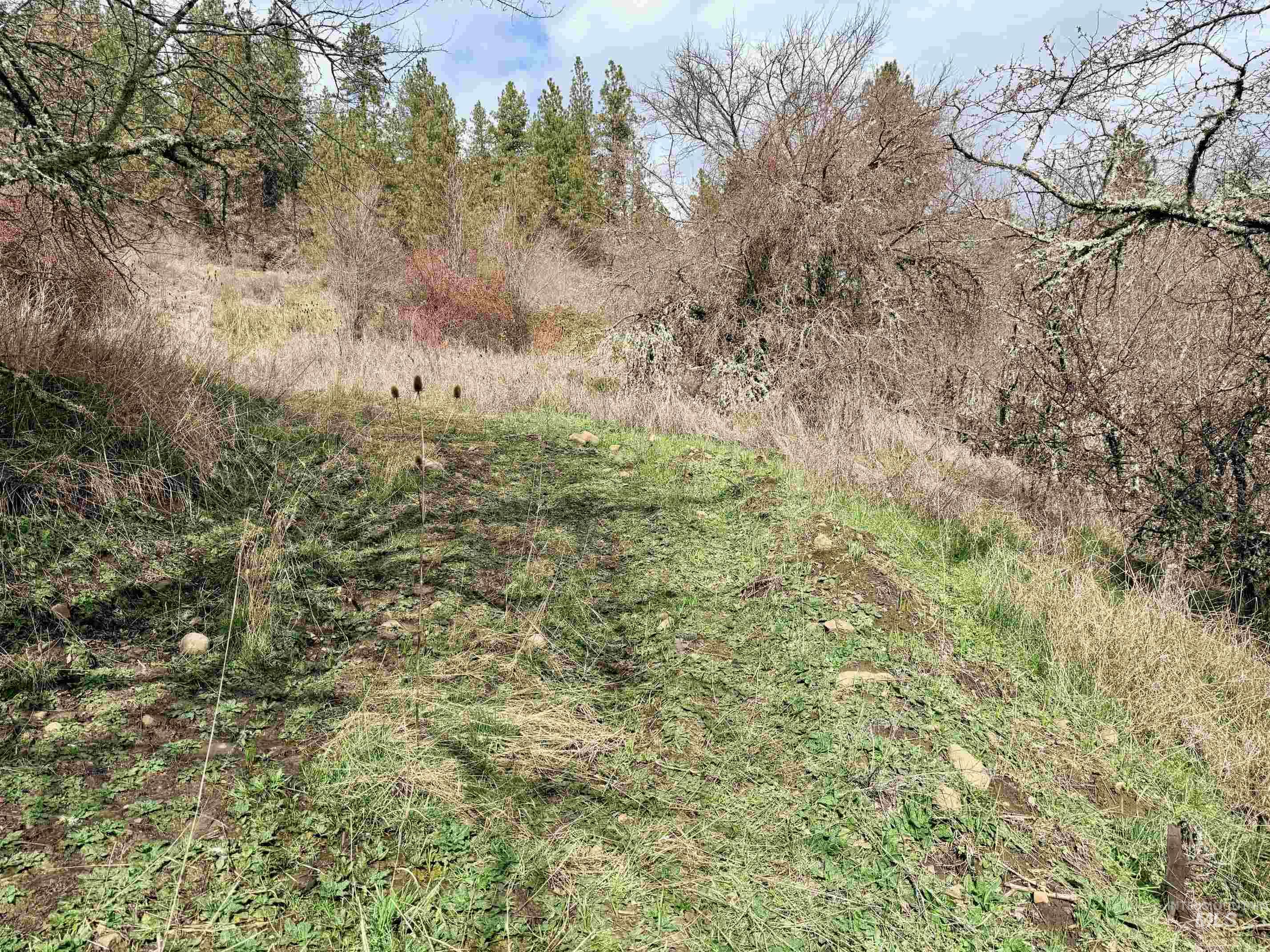 620 Old Peck Grade, Lenore, Idaho 83541, Land For Sale, Price $300,000,MLS 98977220