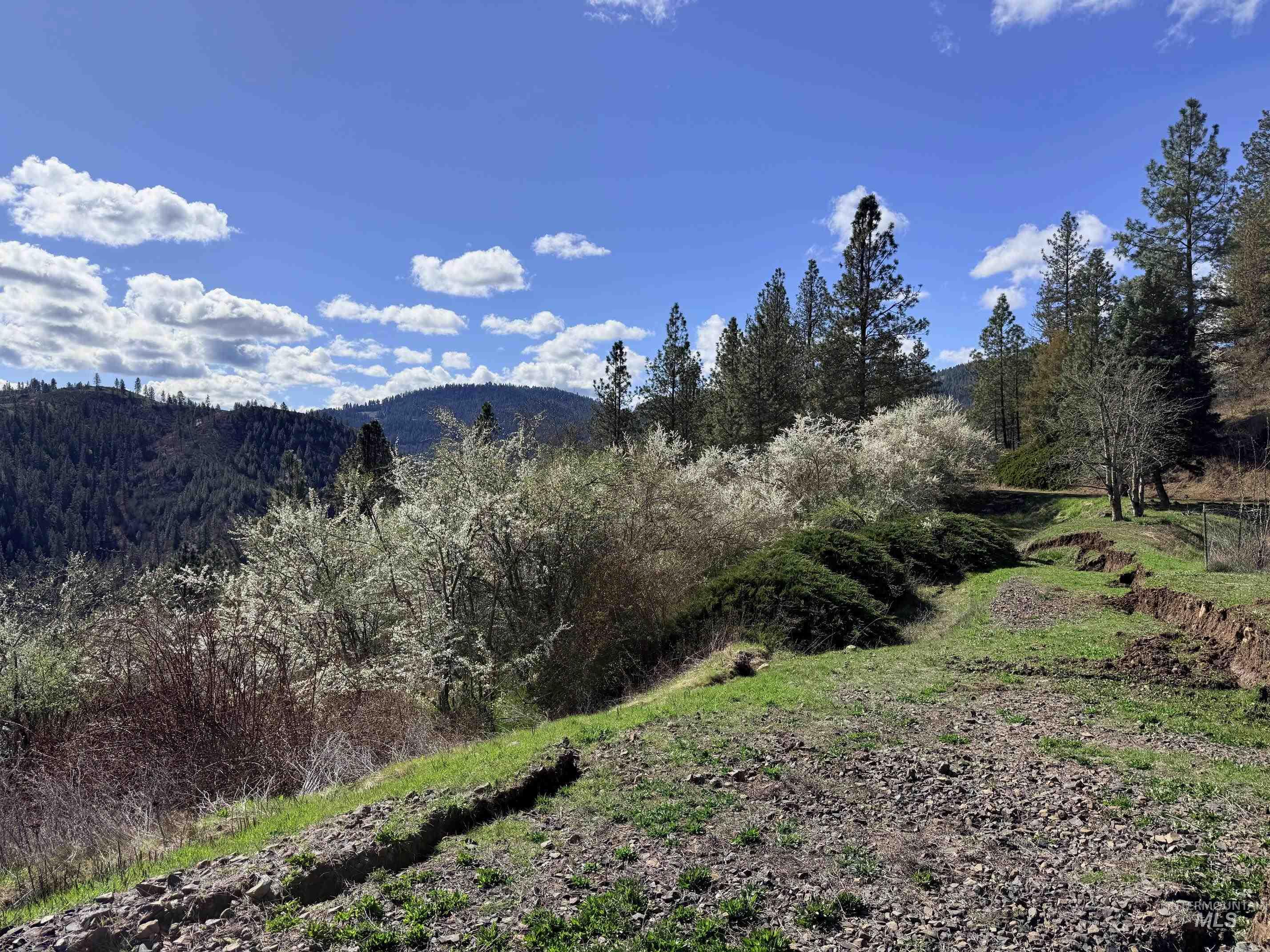 620 Old Peck Grade, Lenore, Idaho 83541, Land For Sale, Price $300,000, 98977220