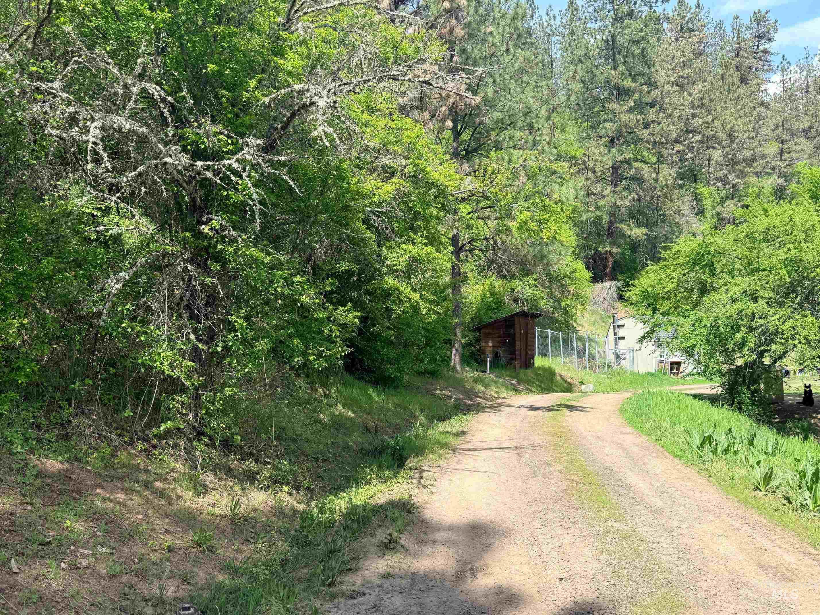 620 Old Peck Grade, Lenore, Idaho 83541, Land For Sale, Price $300,000, 98977220