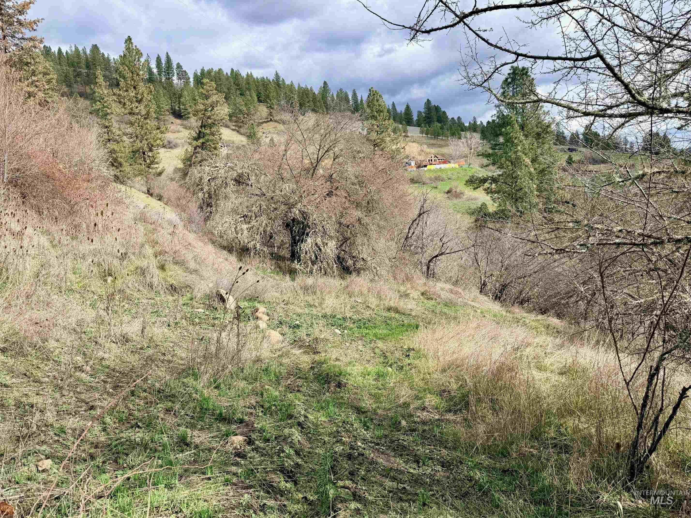 620 Old Peck Grade, Lenore, Idaho 83541, Land For Sale, Price $300,000,MLS 98977220