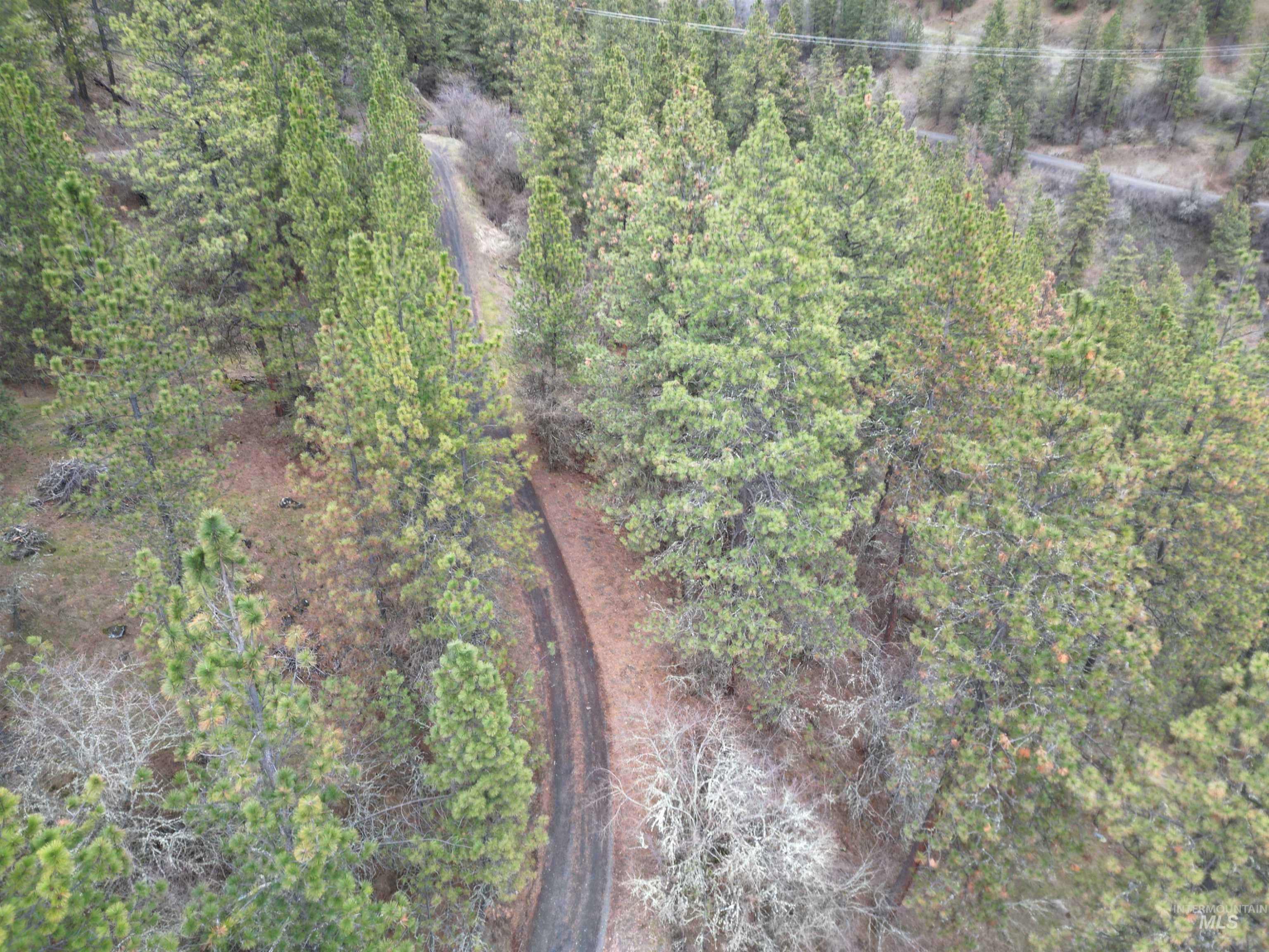 620 Old Peck Grade, Lenore, Idaho 83541, Land For Sale, Price $293,000, 98977220