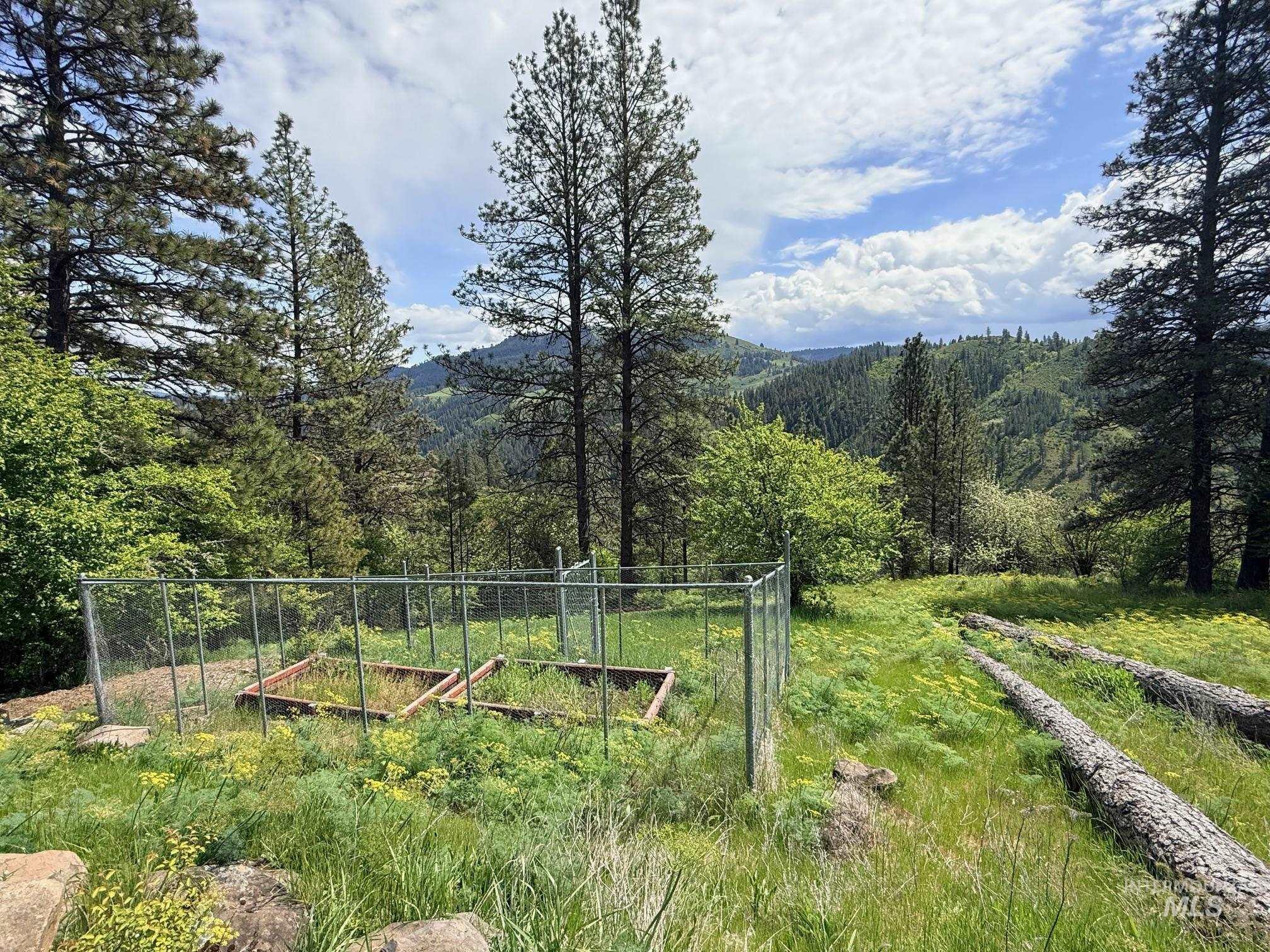 620 Old Peck Grade, Lenore, Idaho 83541, Land For Sale, Price $300,000, 98977220