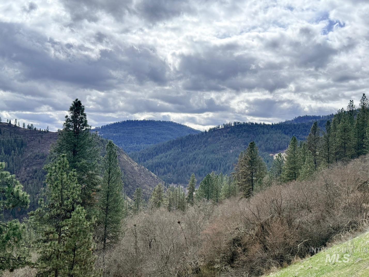 620 Old Peck Grade, Lenore, Idaho 83541, Land For Sale, Price $300,000,MLS 98977220