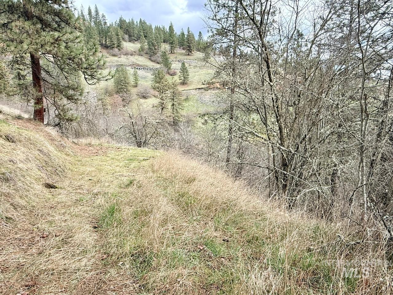 620 Old Peck Grade, Lenore, Idaho 83541, Land For Sale, Price $300,000,MLS 98977220
