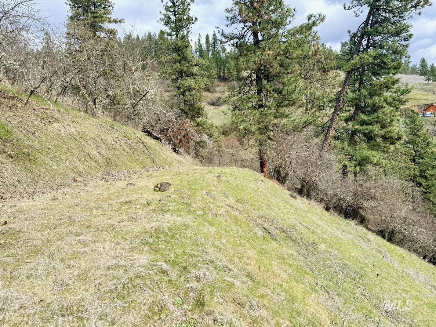 620 Old Peck Grade, Lenore, Idaho 83541, Land For Sale, Price $300,000,MLS 98977220