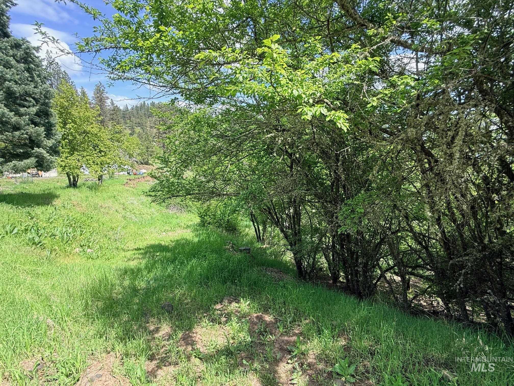 620 Old Peck Grade, Lenore, Idaho 83541, Land For Sale, Price $293,000, 98977220