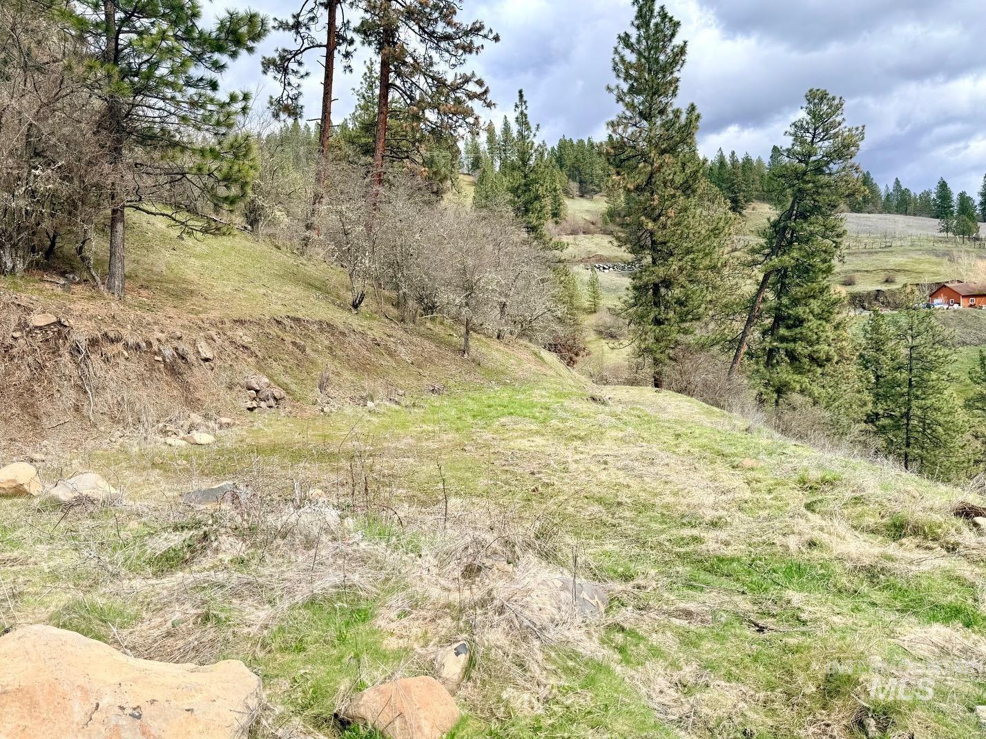 620 Old Peck Grade, Lenore, Idaho 83541, Land For Sale, Price $300,000,MLS 98977220