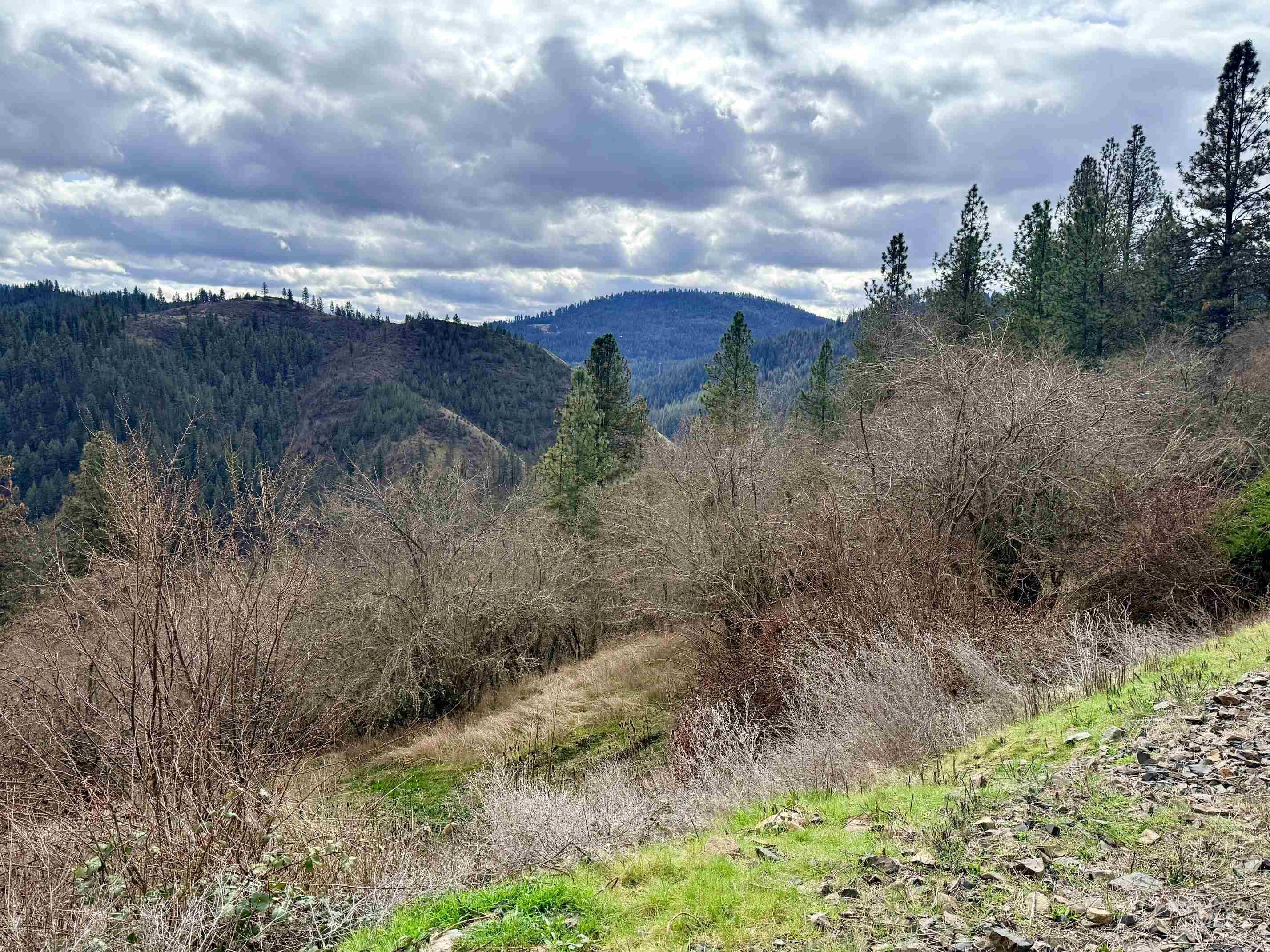 620 Old Peck Grade, Lenore, Idaho 83541, Land For Sale, Price $300,000,MLS 98977220