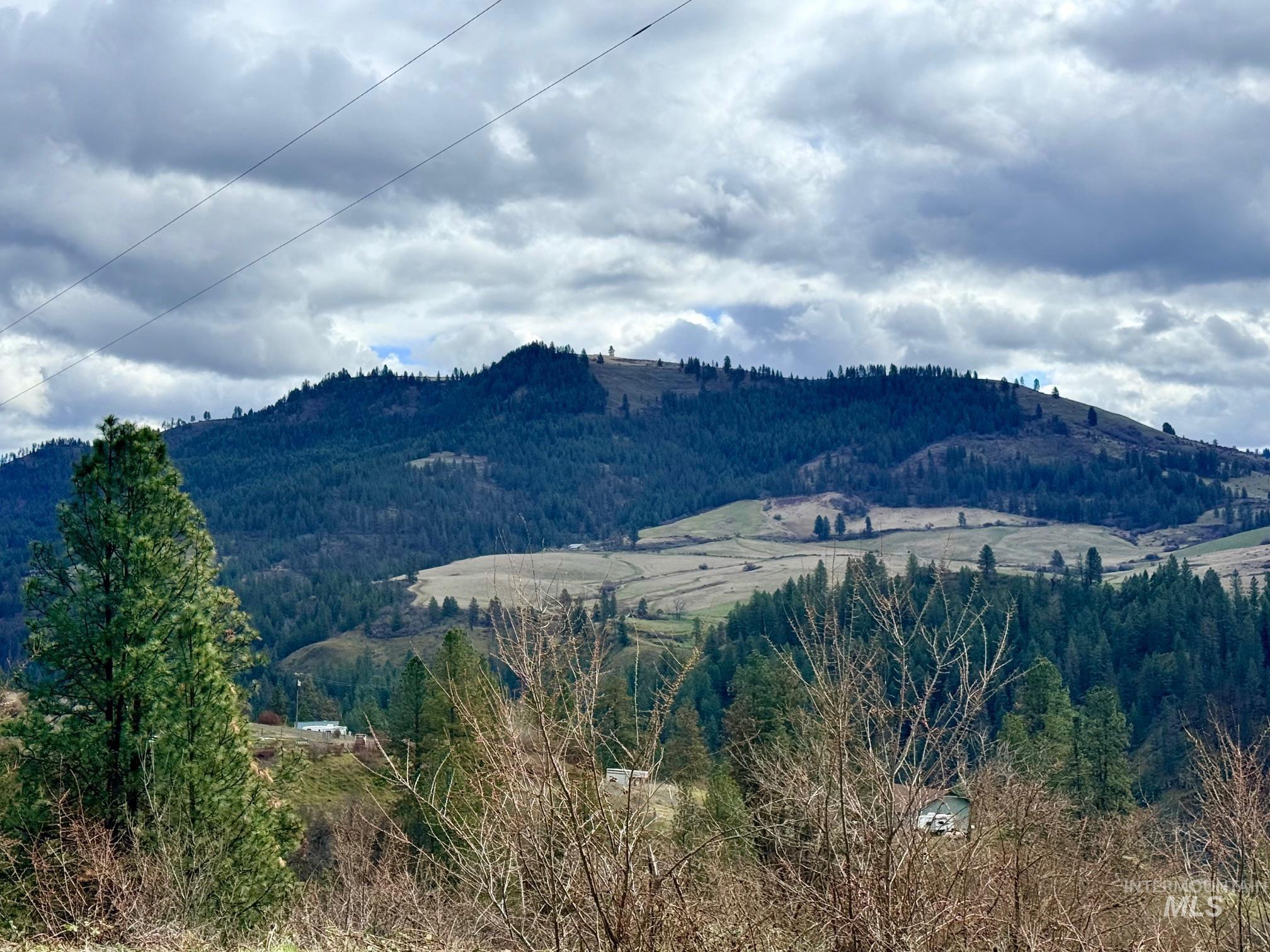 620 Old Peck Grade, Lenore, Idaho 83541, Land For Sale, Price $300,000,MLS 98977220