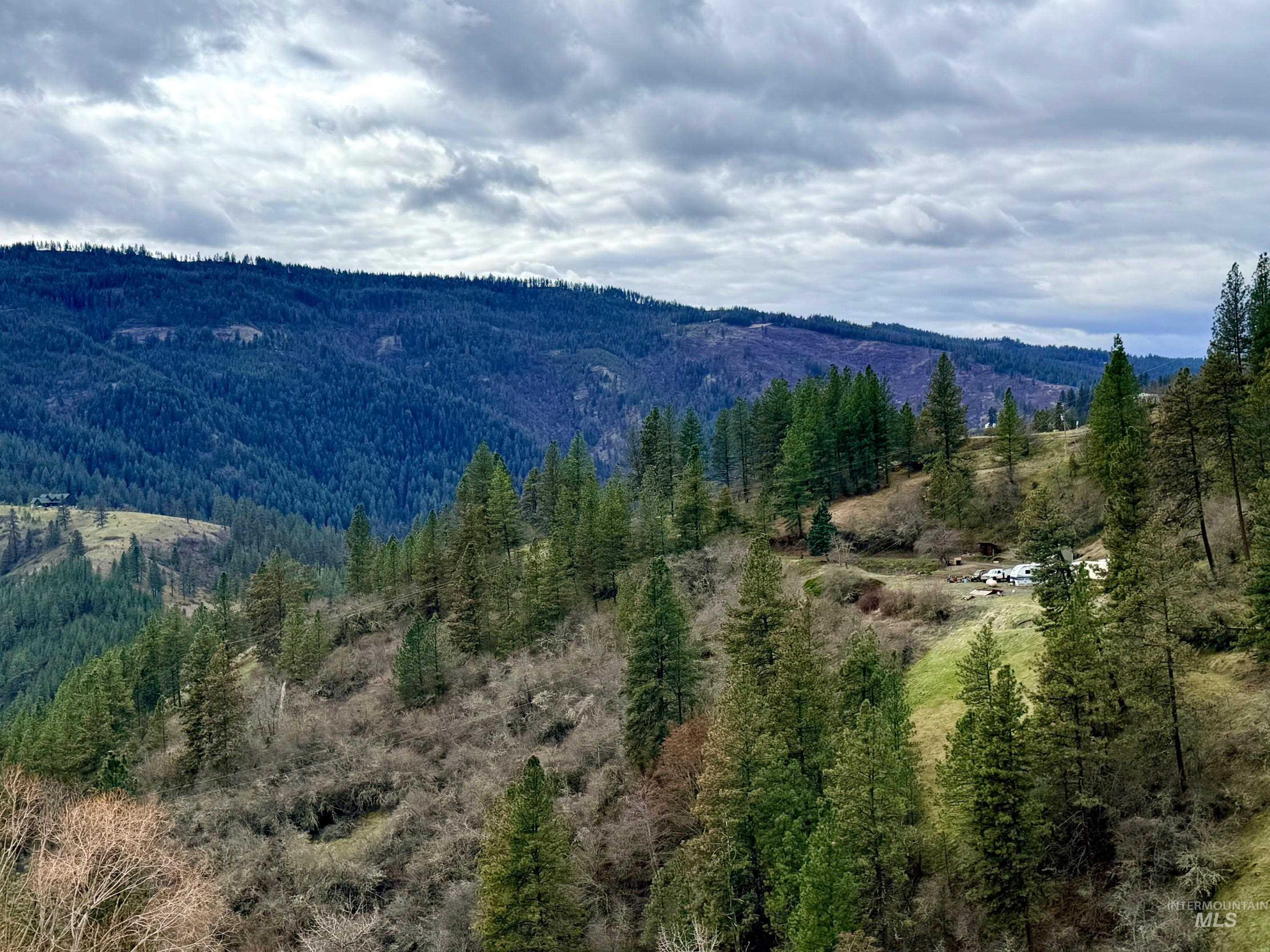 620 Old Peck Grade, Lenore, Idaho 83541, Land For Sale, Price $300,000, 98977220