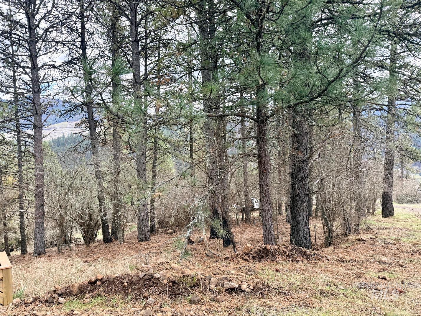 620 Old Peck Grade, Lenore, Idaho 83541, Land For Sale, Price $300,000,MLS 98977220