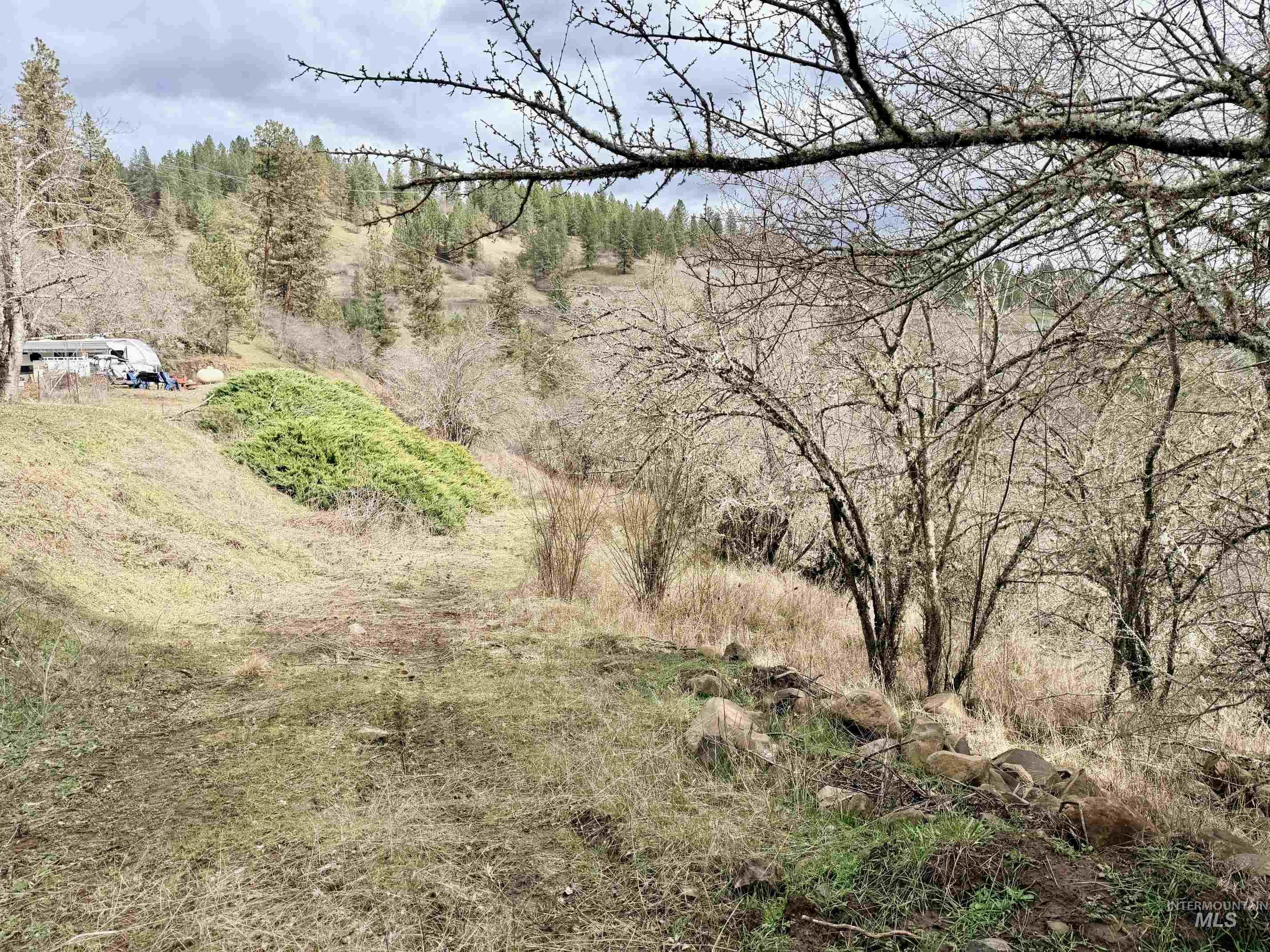 620 Old Peck Grade, Lenore, Idaho 83541, Land For Sale, Price $300,000,MLS 98977220