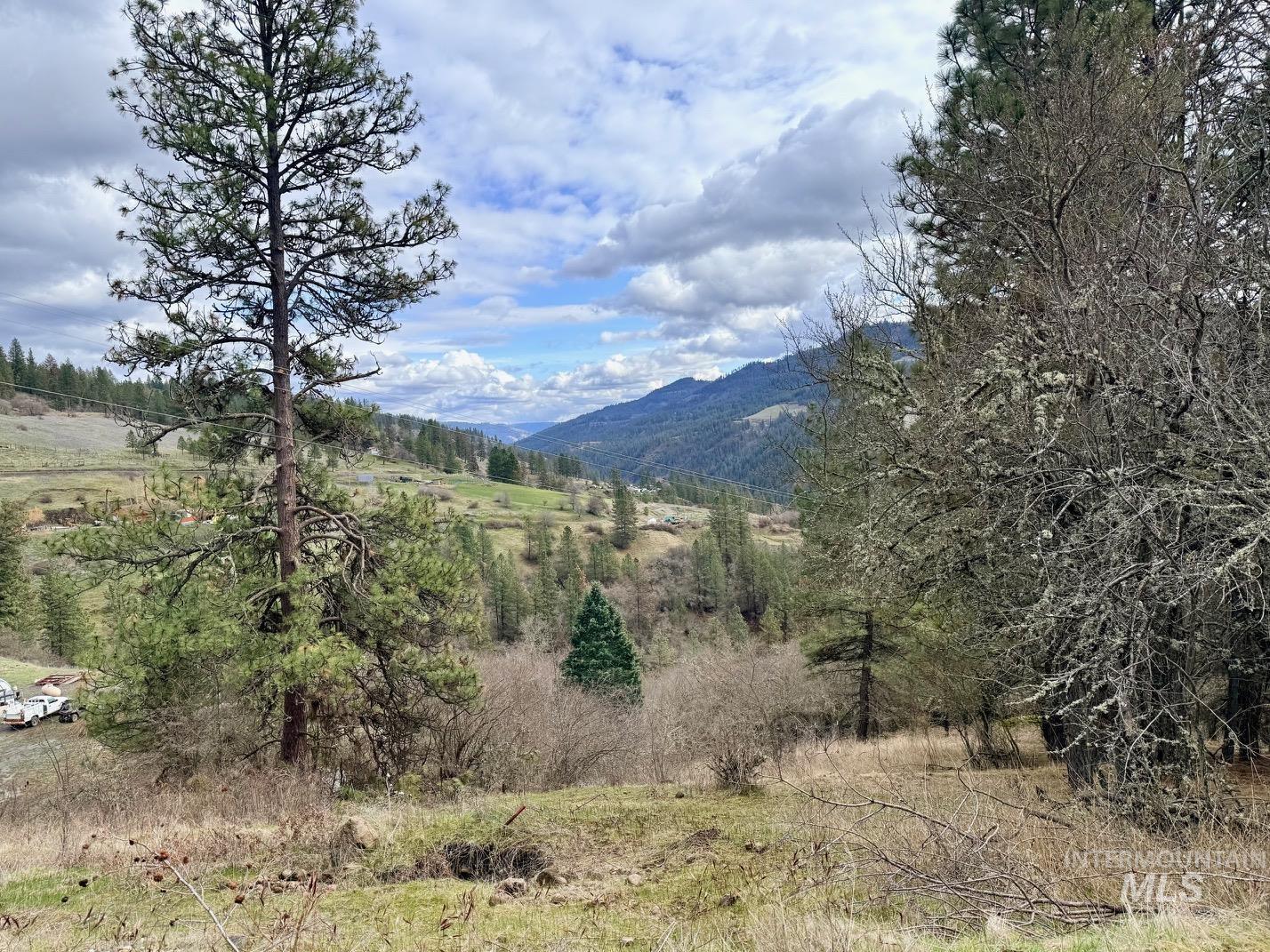620 Old Peck Grade, Lenore, Idaho 83541, Land For Sale, Price $300,000,MLS 98977220