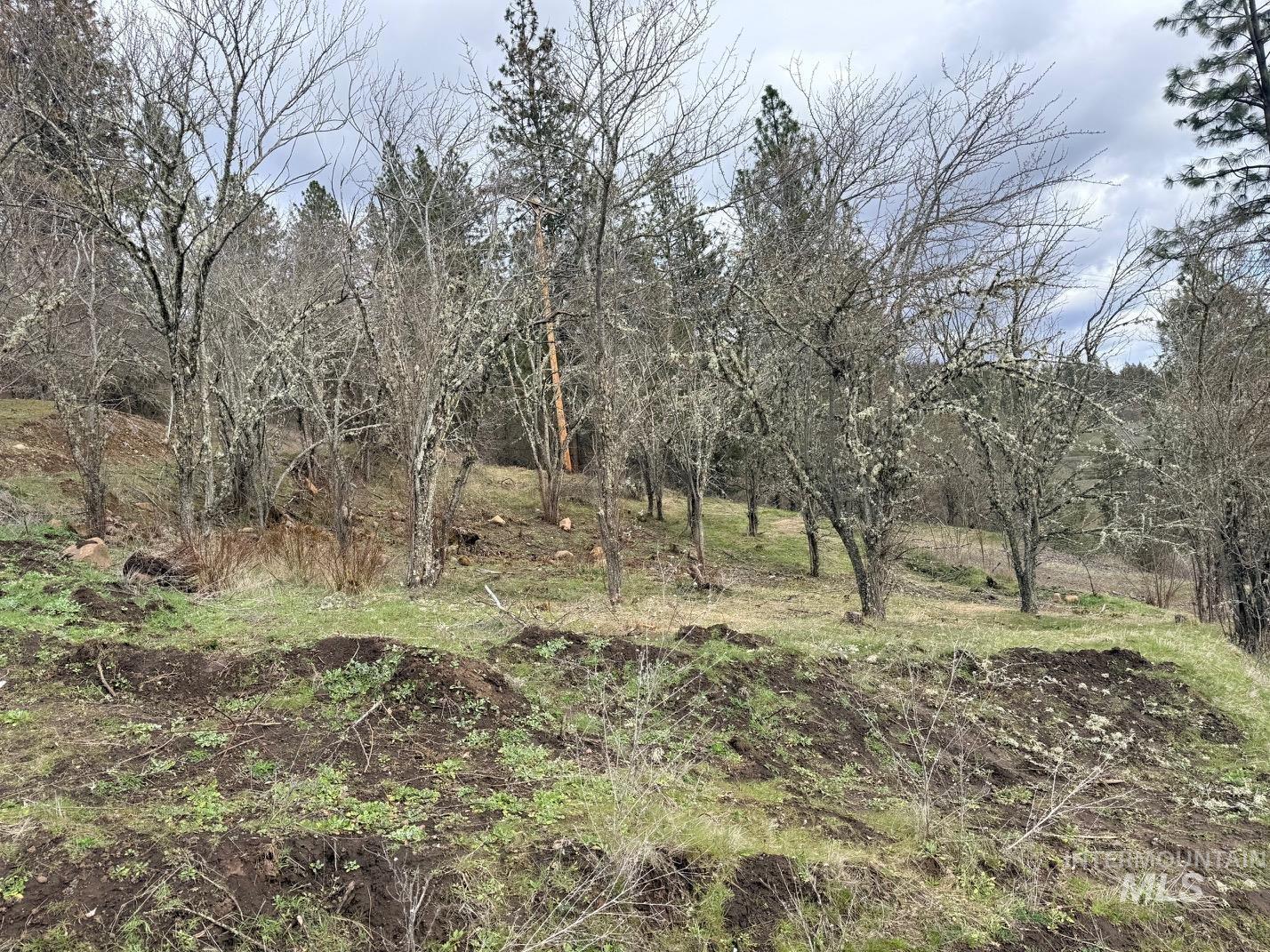 620 Old Peck Grade, Lenore, Idaho 83541, Land For Sale, Price $300,000,MLS 98977220