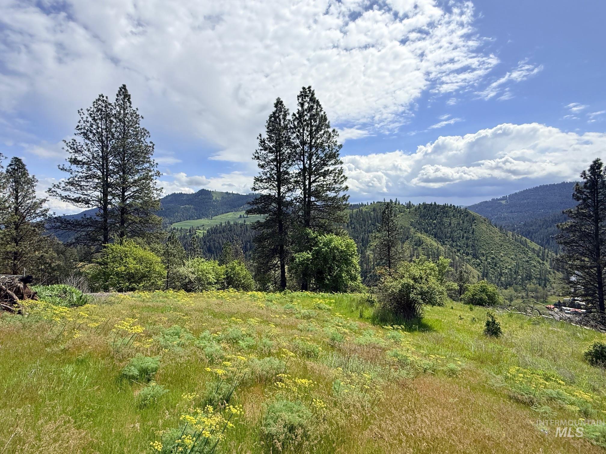 620 Old Peck Grade, Lenore, Idaho 83541, Land For Sale, Price $293,000, 98977220