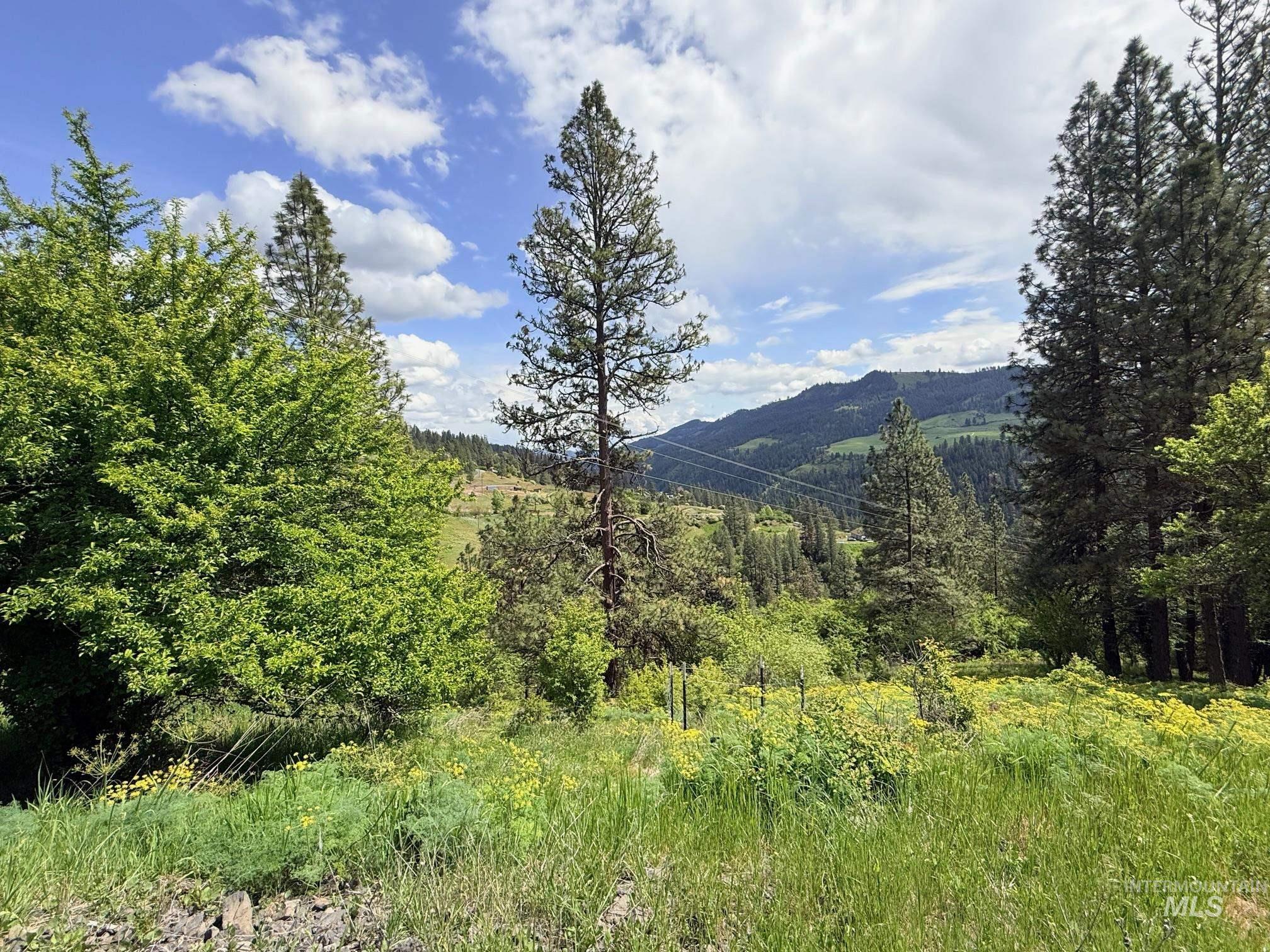 620 Old Peck Grade, Lenore, Idaho 83541, Land For Sale, Price $293,000, 98977220