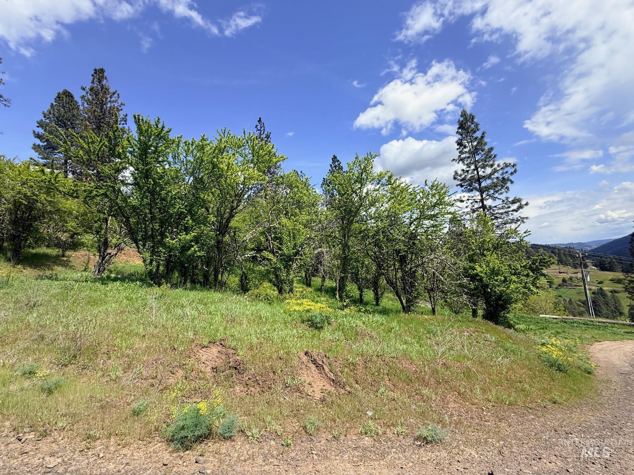 620 Old Peck Grade, Lenore, Idaho 83541, Land For Sale, Price $293,000, 98977220