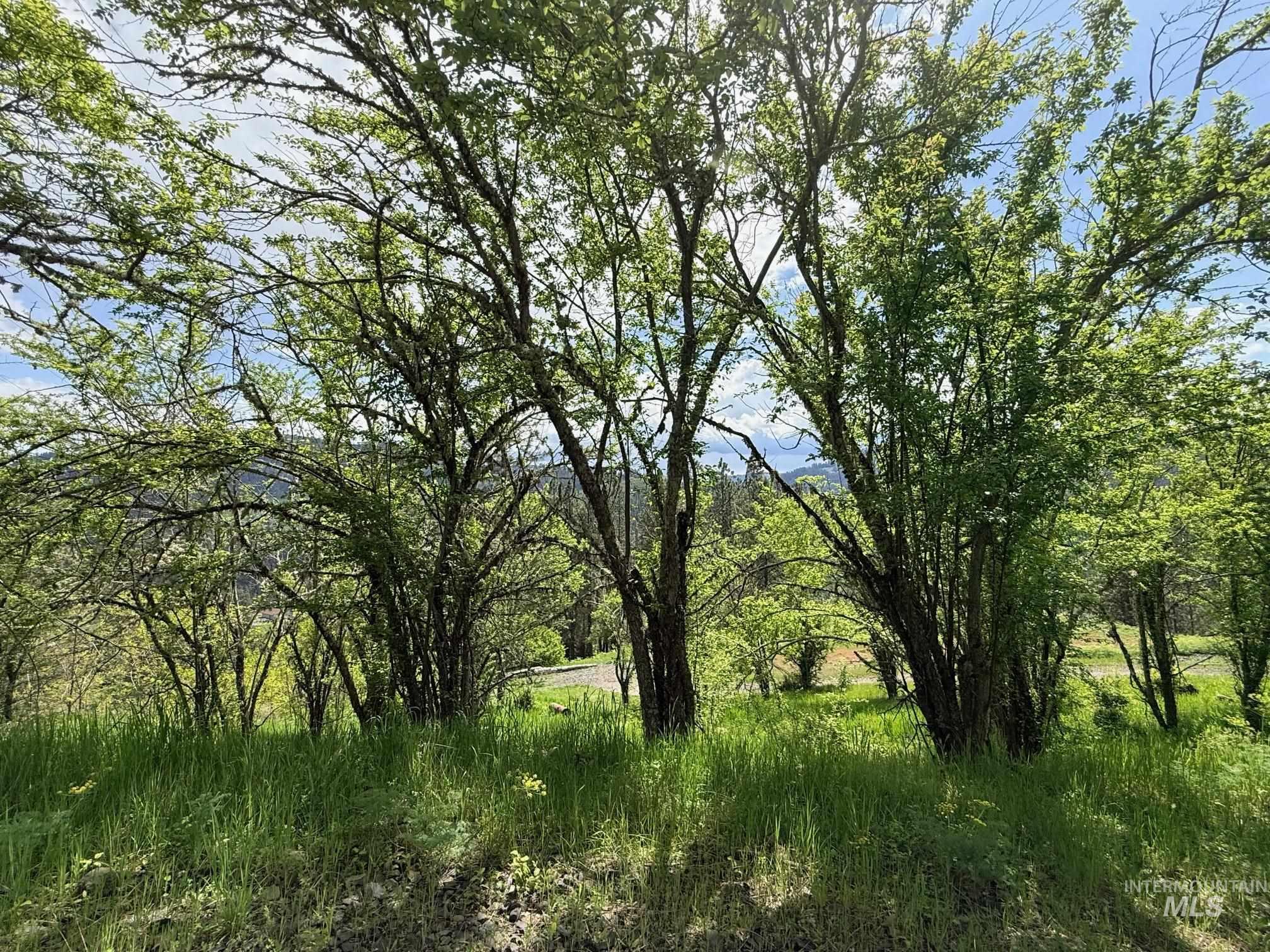620 Old Peck Grade, Lenore, Idaho 83541, Land For Sale, Price $293,000, 98977220