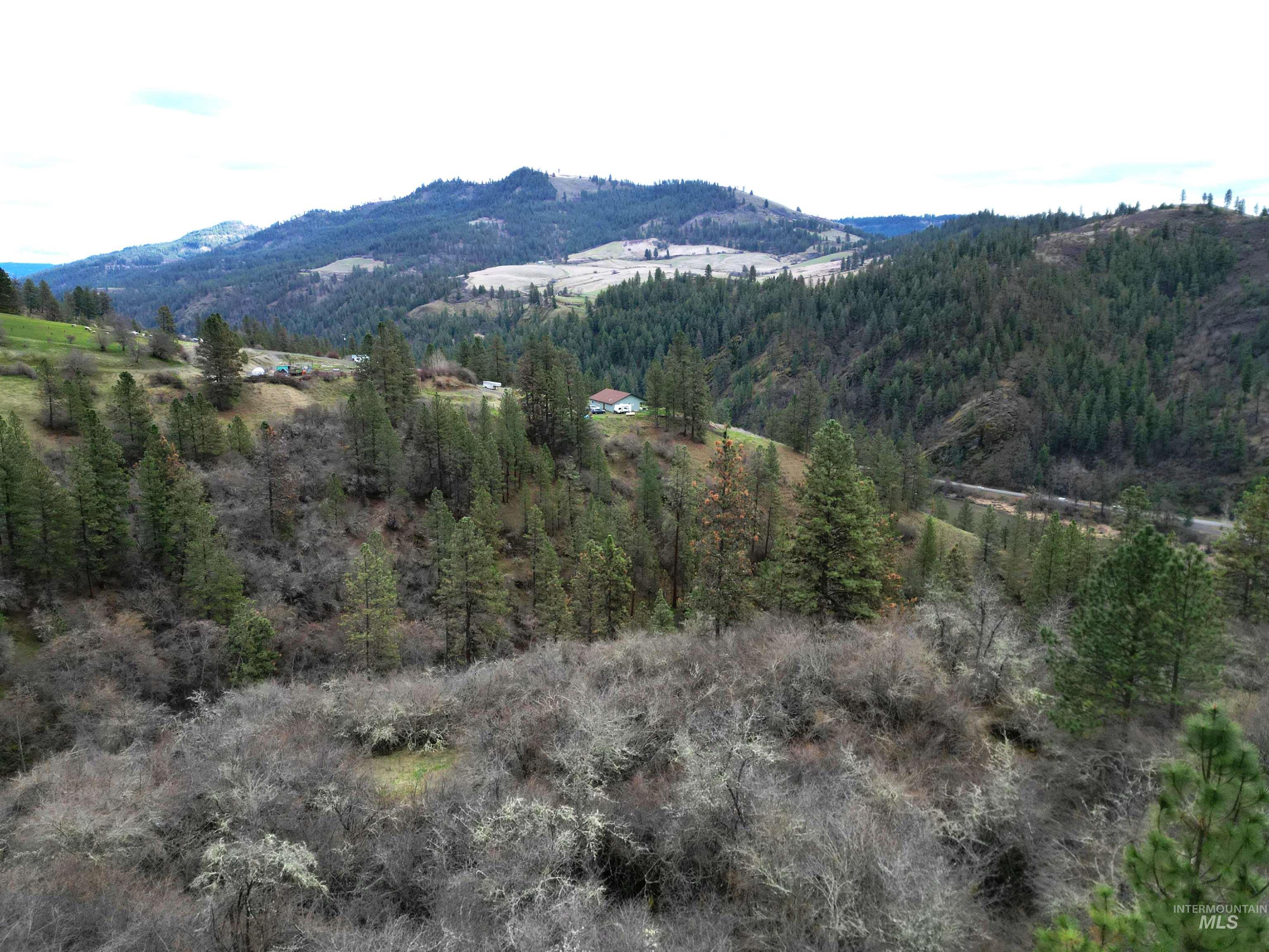 620 Old Peck Grade, Lenore, Idaho 83541, Land For Sale, Price $300,000,MLS 98977220