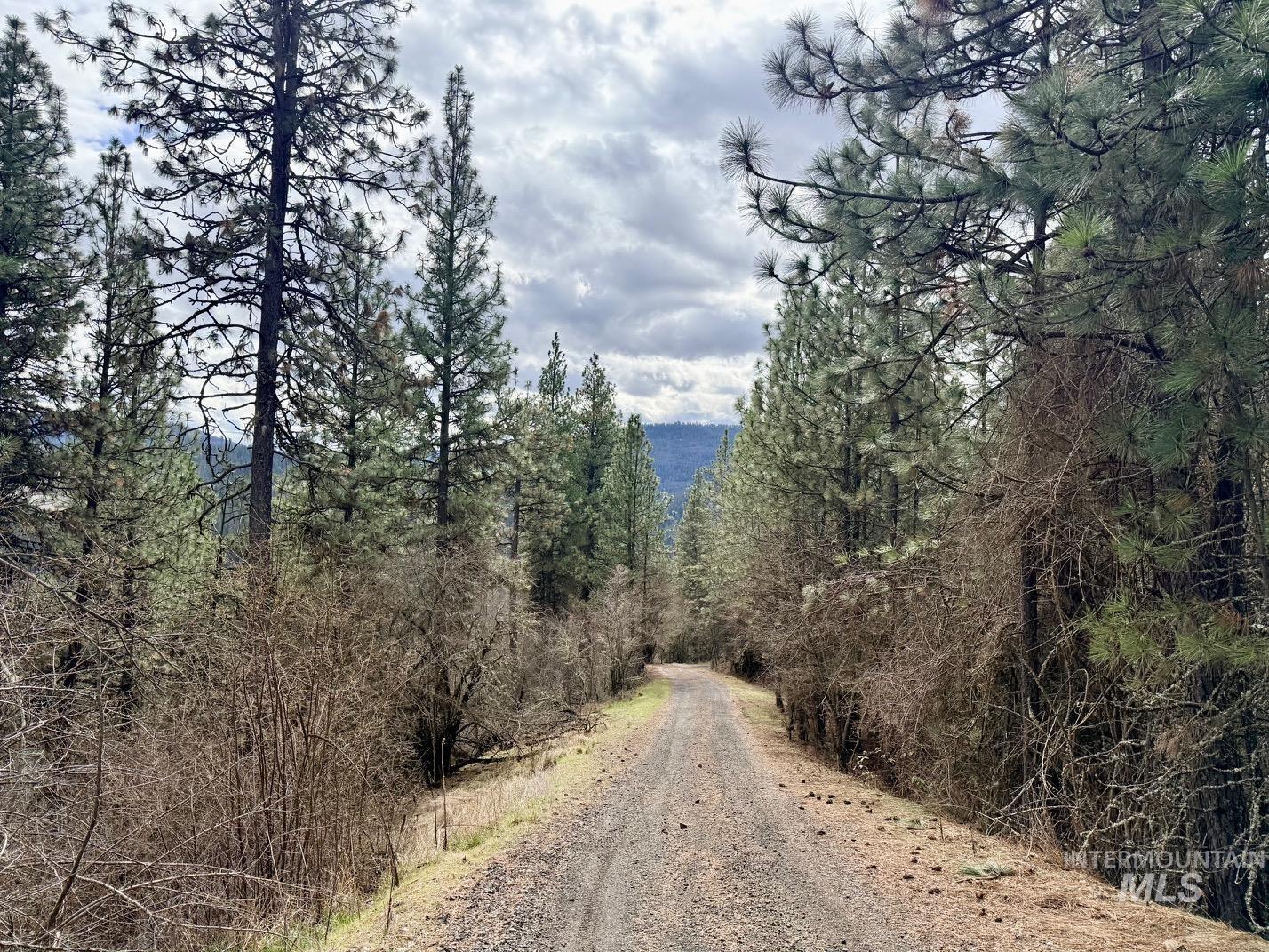 620 Old Peck Grade, Lenore, Idaho 83541, Land For Sale, Price $300,000,MLS 98977220