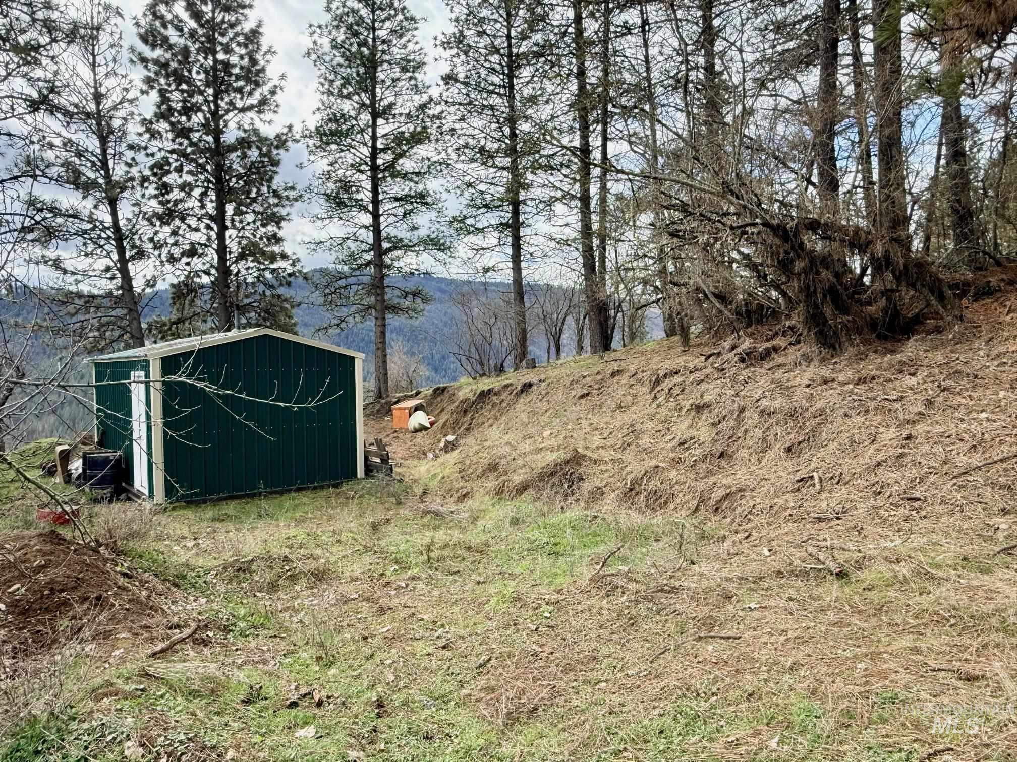 620 Old Peck Grade, Lenore, Idaho 83541, Land For Sale, Price $300,000, 98977220