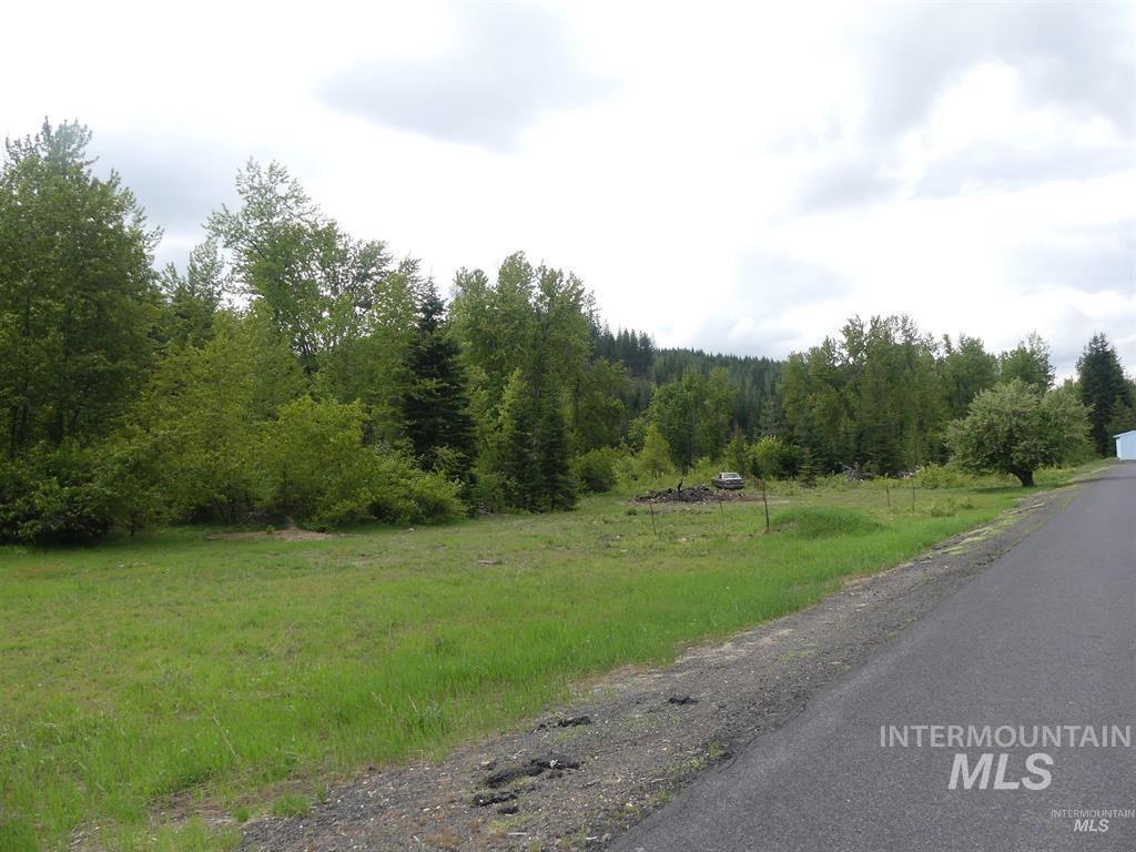 150 French Mountain Road, Pierce, Idaho 83546, Land For Sale, Price $175,000, 98977231