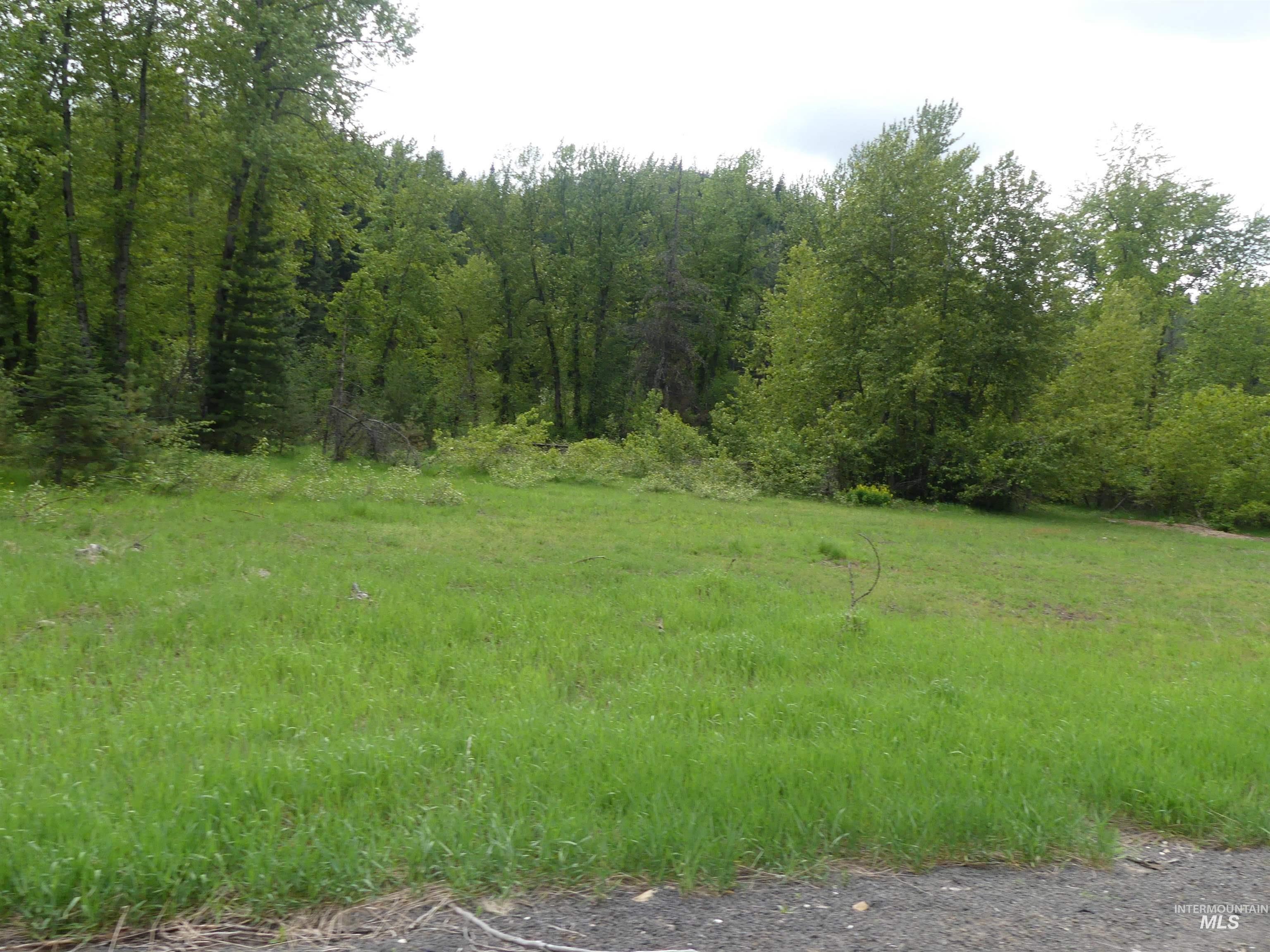 150 French Mountain Road, Pierce, Idaho 83546, Land For Sale, Price $175,000, 98977231