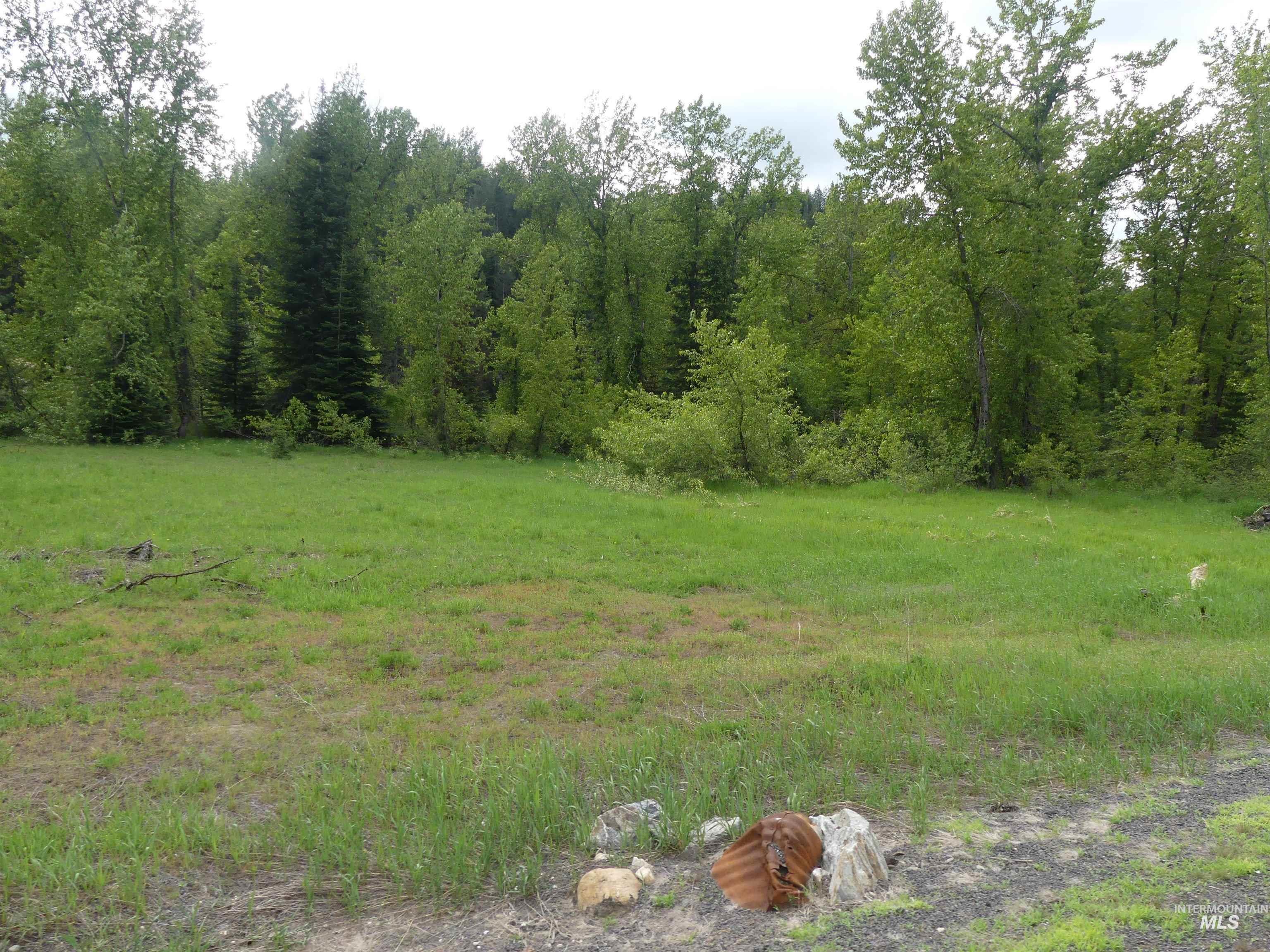 150 French Mountain Road, Pierce, Idaho 83546, Land For Sale, Price $175,000, 98977231
