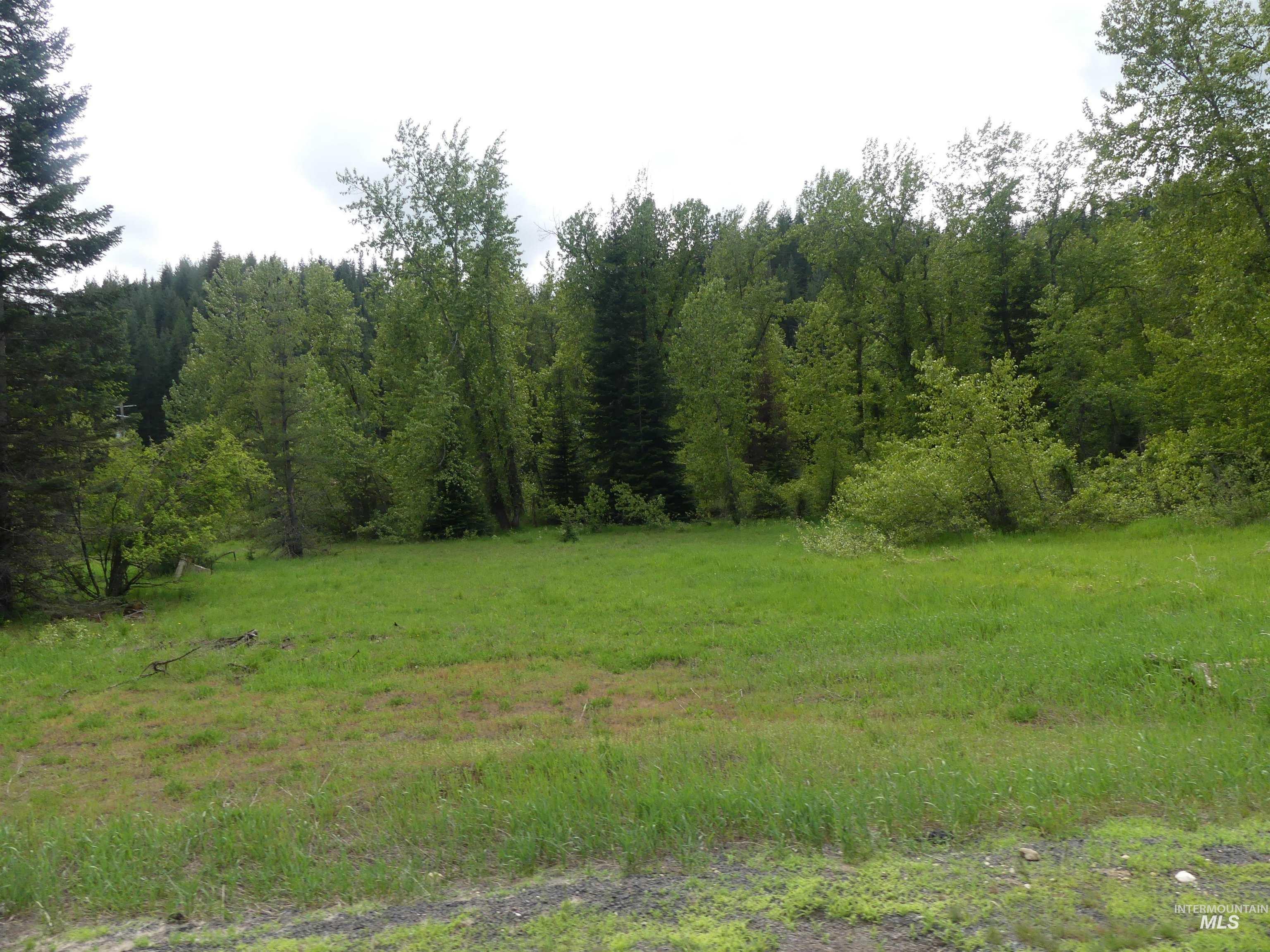 150 French Mountain Road, Pierce, Idaho 83546, Land For Sale, Price $175,000, 98977231