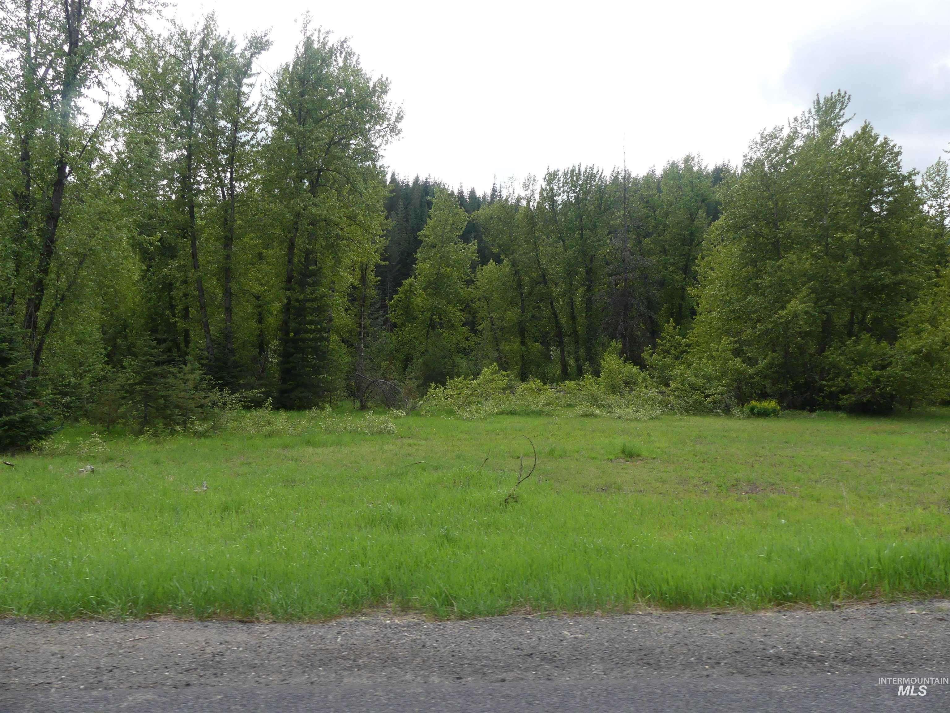 150 French Mountain Road, Pierce, Idaho 83546, Land For Sale, Price $175,000, 98977231
