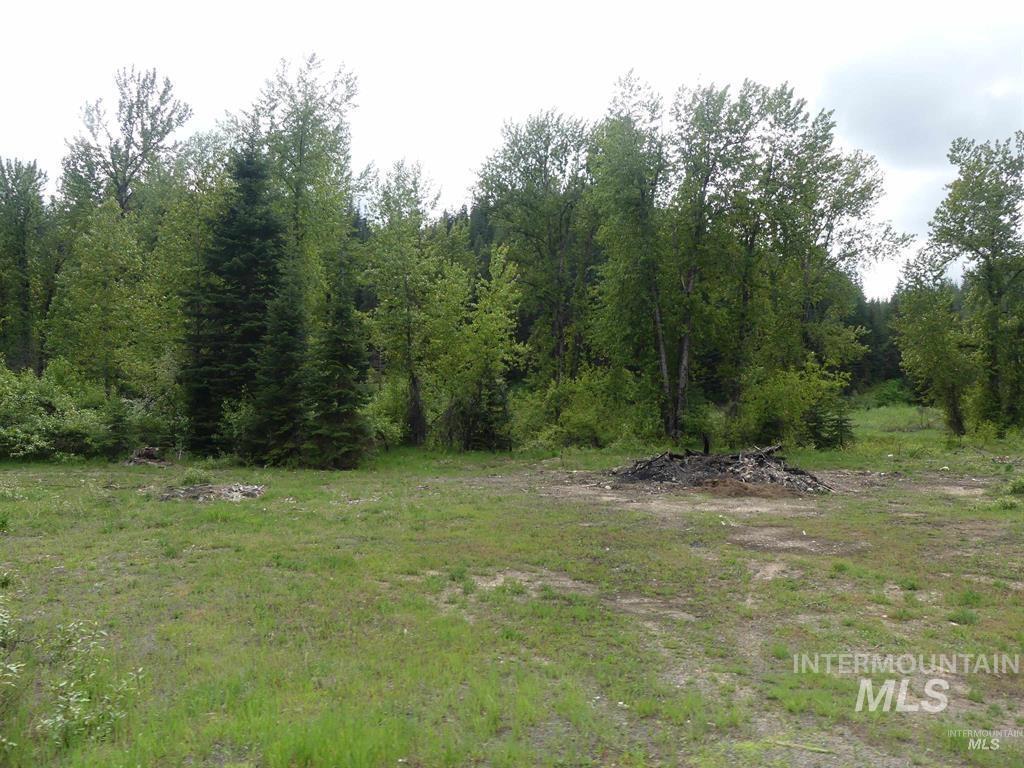 150 French Mountain Road, Pierce, Idaho 83546, Land For Sale, Price $175,000, 98977231
