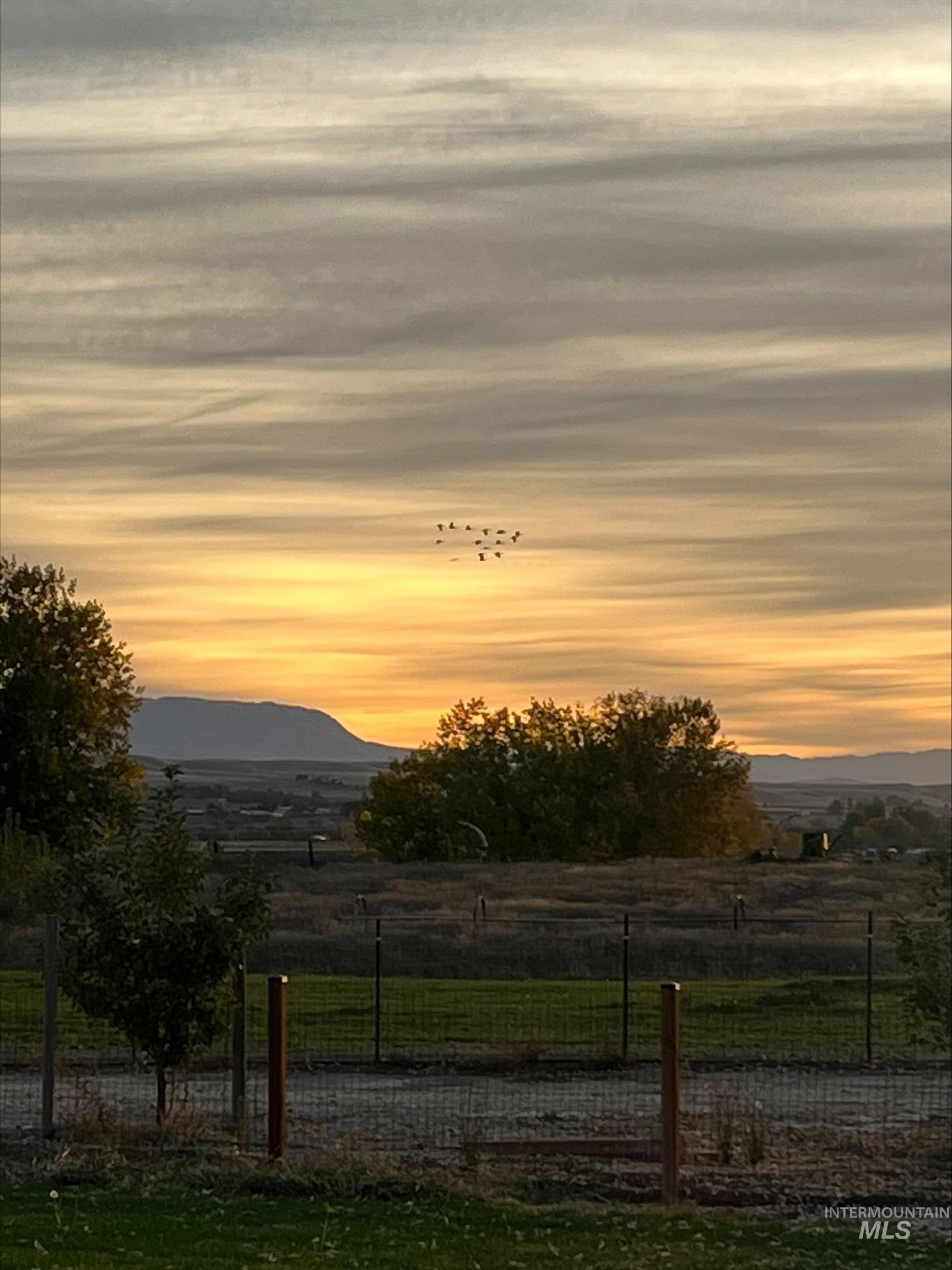 5408 Cassia Rd, New Plymouth, Idaho 83655, 4 Bedrooms, 2.5 Bathrooms, Residential For Sale, Price $944,000,MLS 98977240