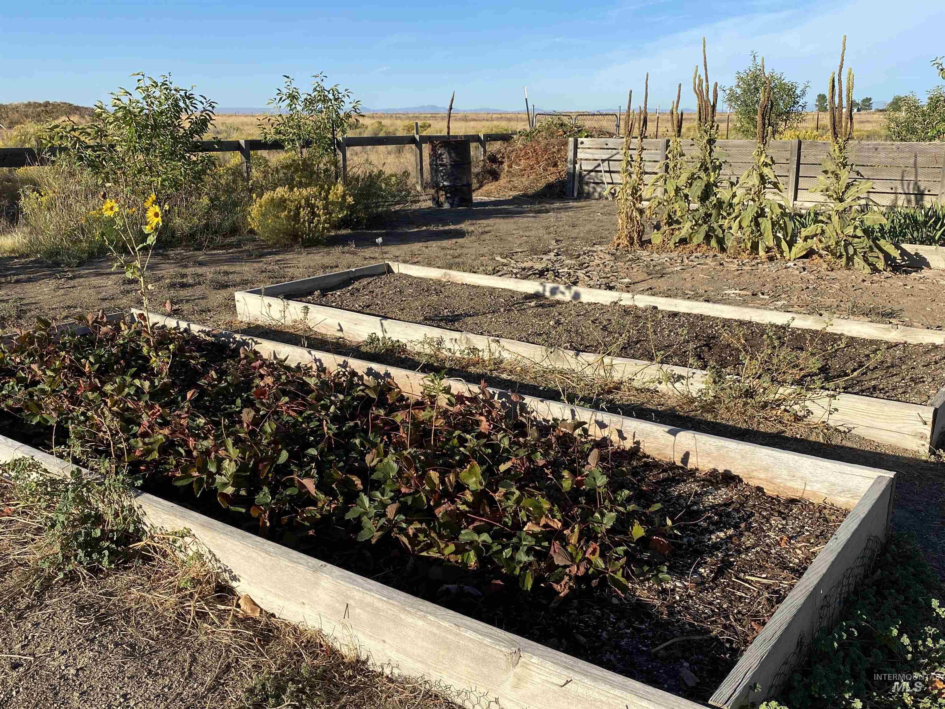 3301 SW Smith Rd, Mountain Home, Idaho 83647, 4 Bedrooms, 2 Bathrooms, Residential For Sale, Price $659,999,MLS 98977241