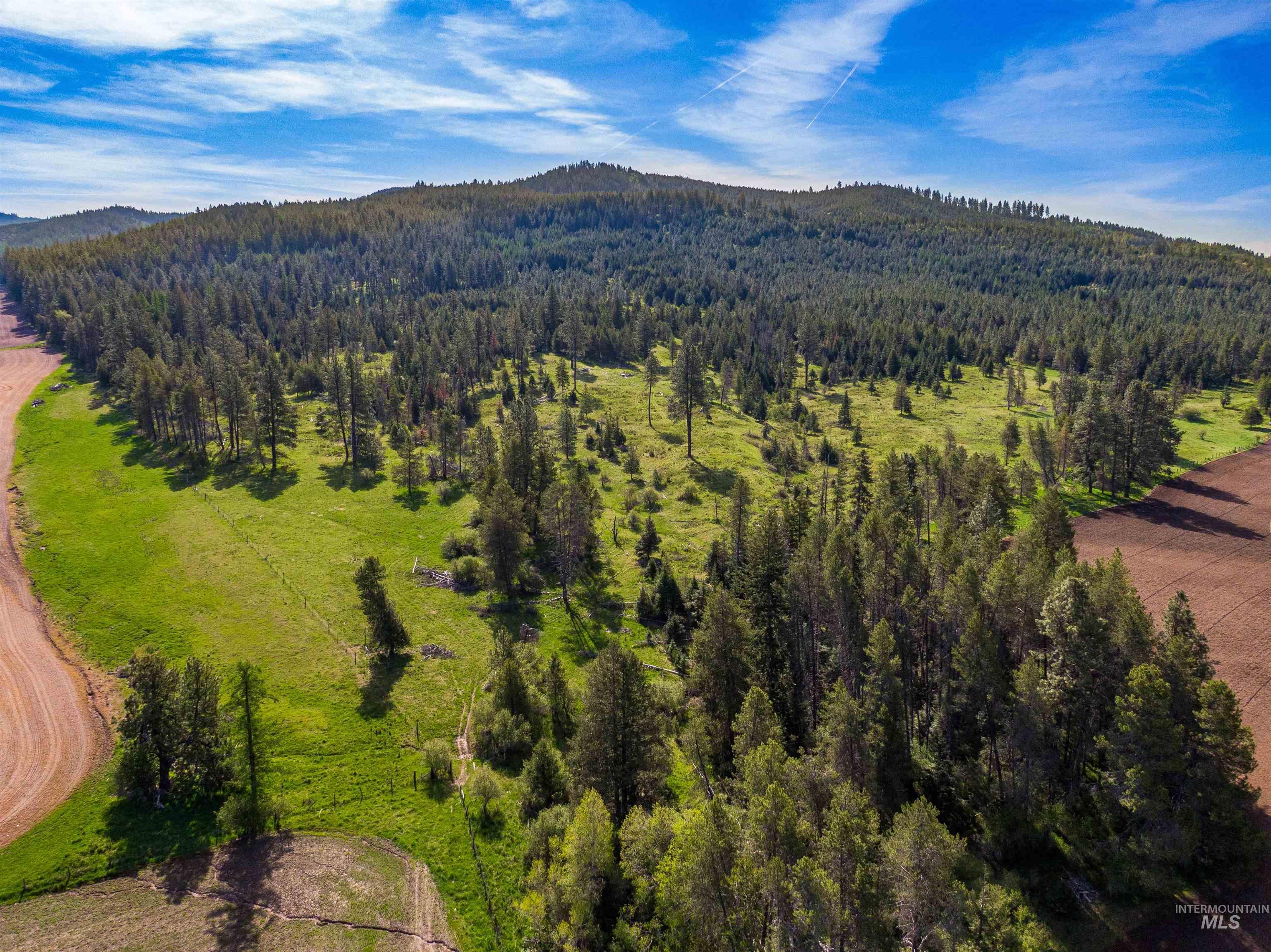 1101 Ruby Creek Rd, Harvard, Idaho 83834, 4 Bedrooms, 2 Bathrooms, Residential For Sale, Price $3,995,000, 98977261