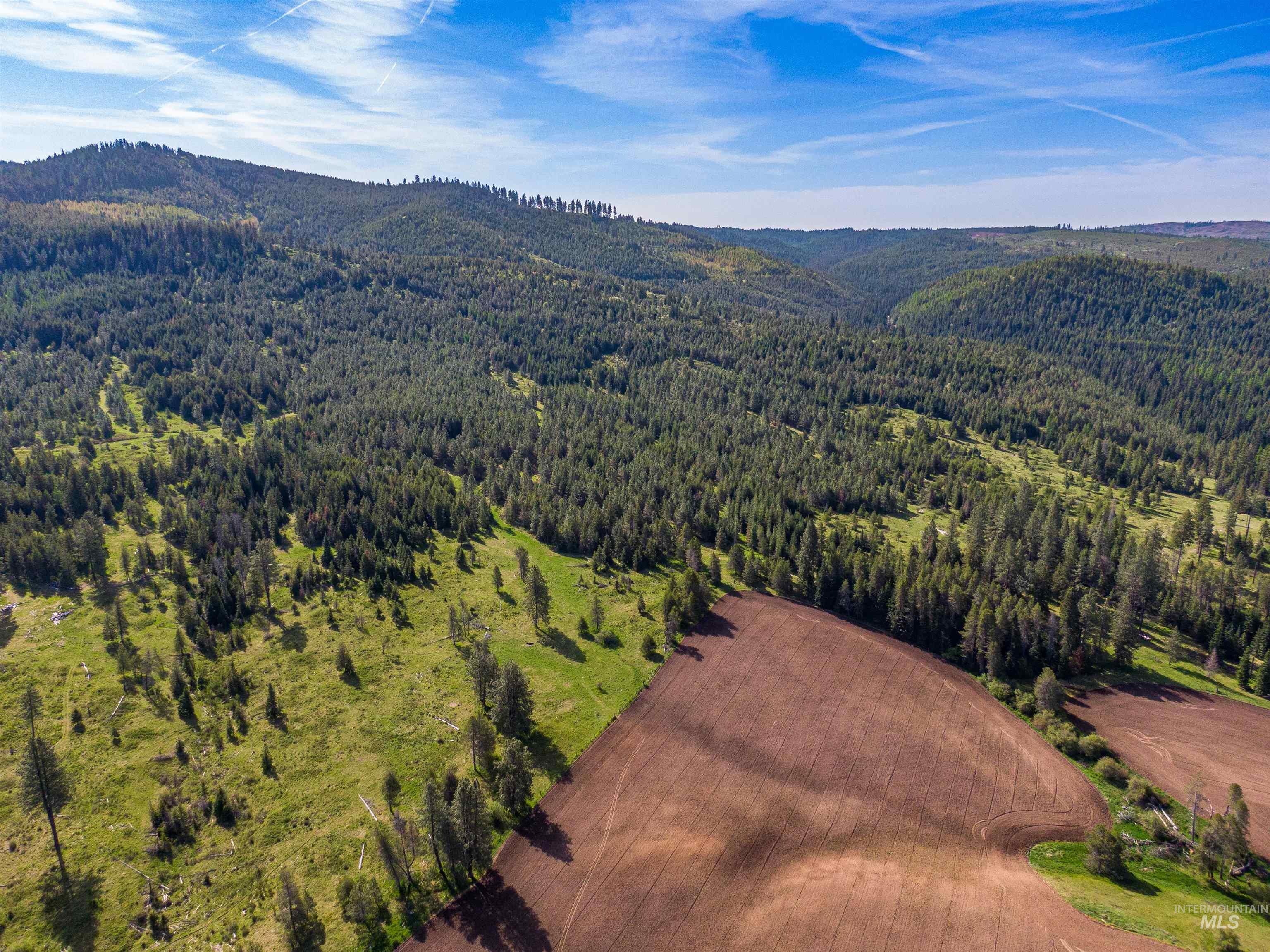 1101 Ruby Creek Rd, Harvard, Idaho 83834, 4 Bedrooms, 2 Bathrooms, Residential For Sale, Price $3,995,000, 98977261