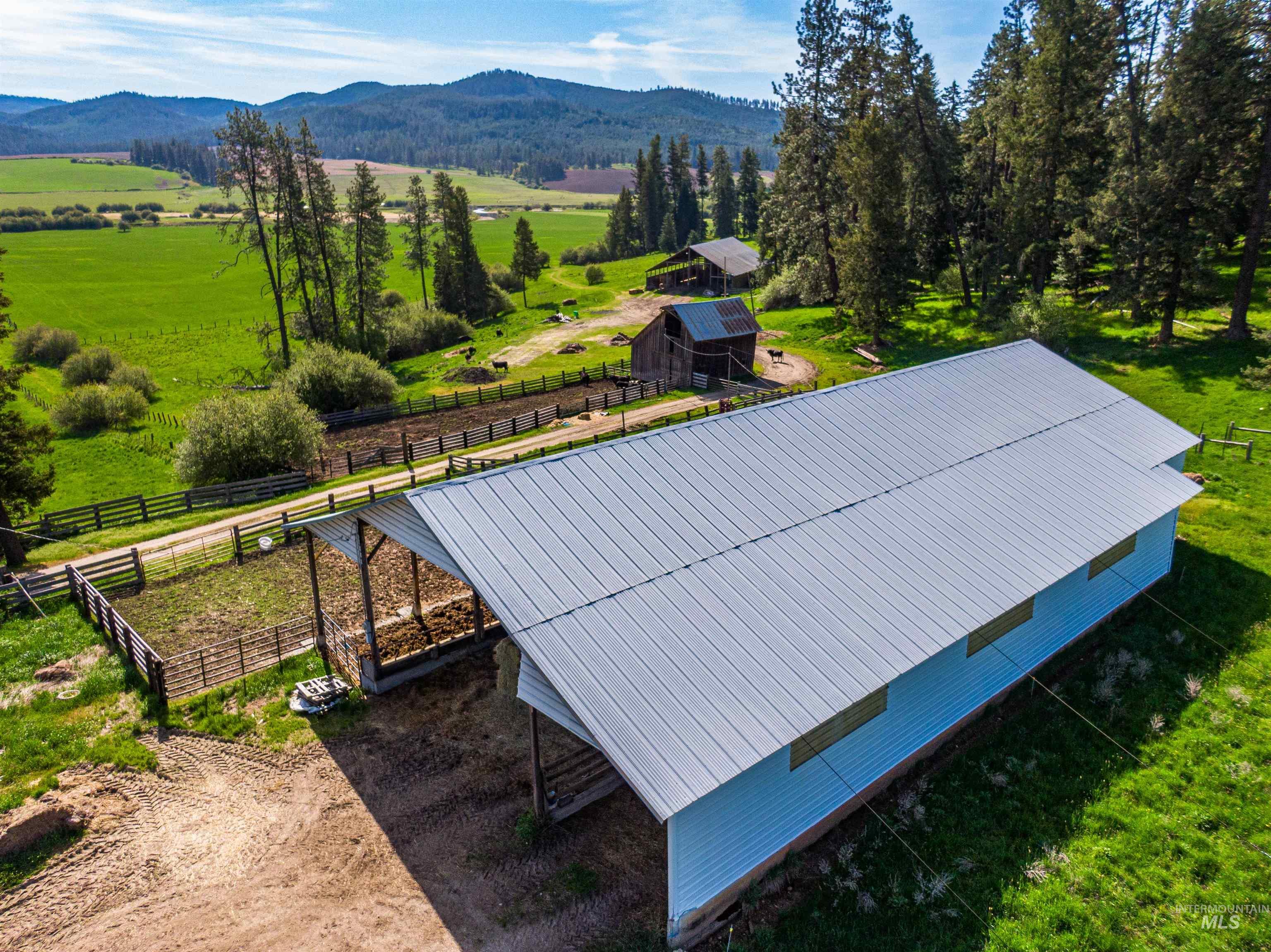 1101 Ruby Creek Rd, Harvard, Idaho 83834, 4 Bedrooms, 2 Bathrooms, Residential For Sale, Price $3,995,000, 98977261
