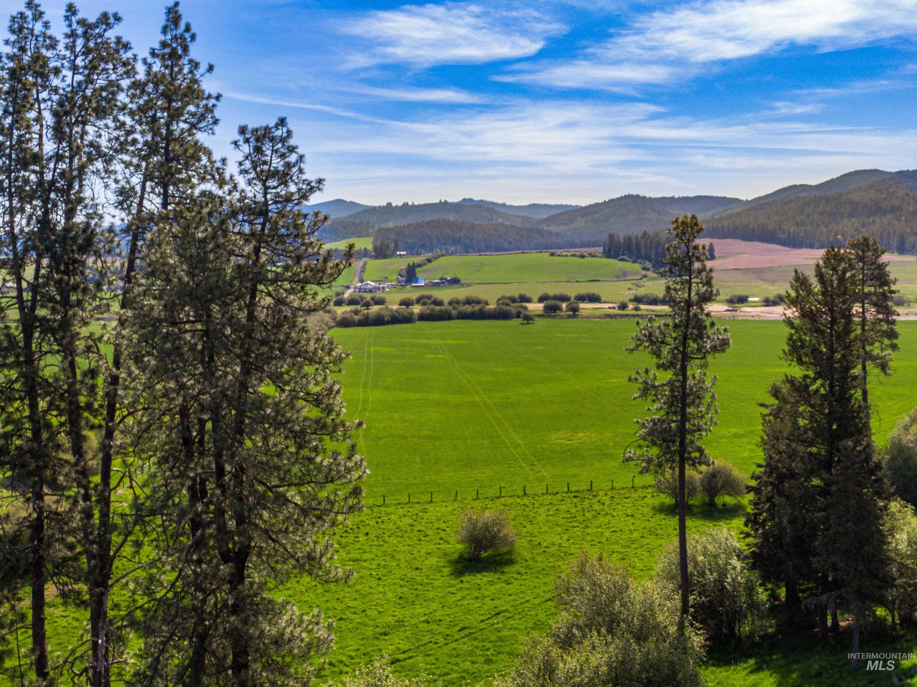 1101 Ruby Creek Rd, Harvard, Idaho 83834, 4 Bedrooms, 2 Bathrooms, Residential For Sale, Price $3,995,000, 98977261