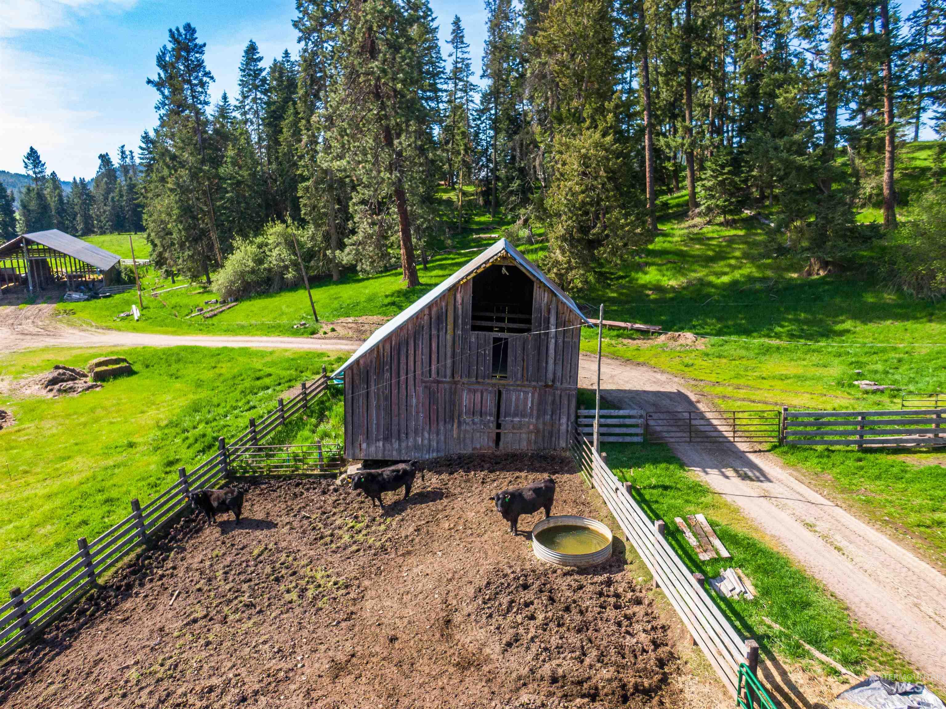 1101 Ruby Creek Rd, Harvard, Idaho 83834, 4 Bedrooms, 2 Bathrooms, Residential For Sale, Price $3,995,000, 98977261
