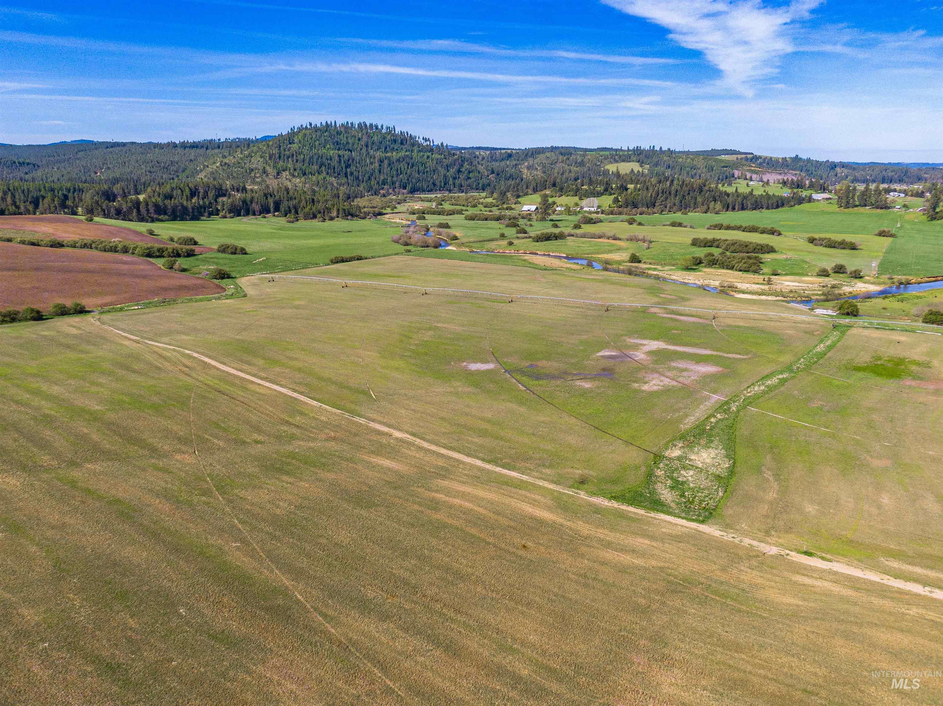 1101 Ruby Creek Rd, Harvard, Idaho 83834, 4 Bedrooms, 2 Bathrooms, Residential For Sale, Price $3,995,000, 98977261