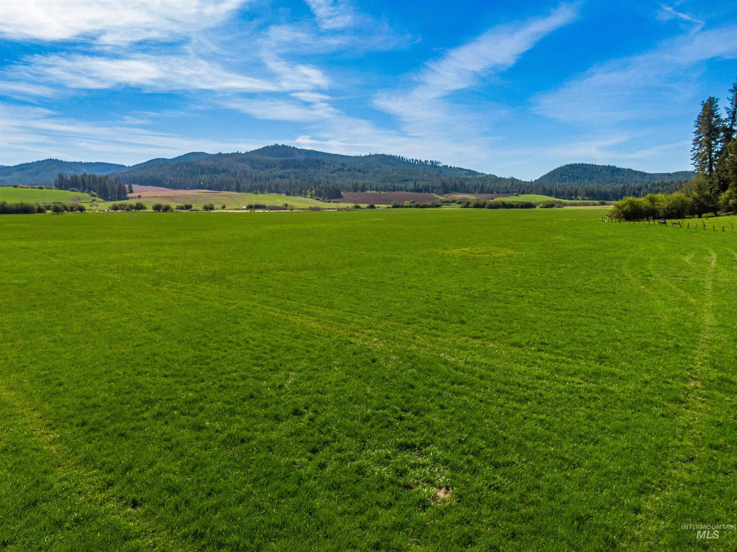 1101 Ruby Creek Rd, Harvard, Idaho 83834, 4 Bedrooms, 2 Bathrooms, Residential For Sale, Price $3,995,000, 98977261