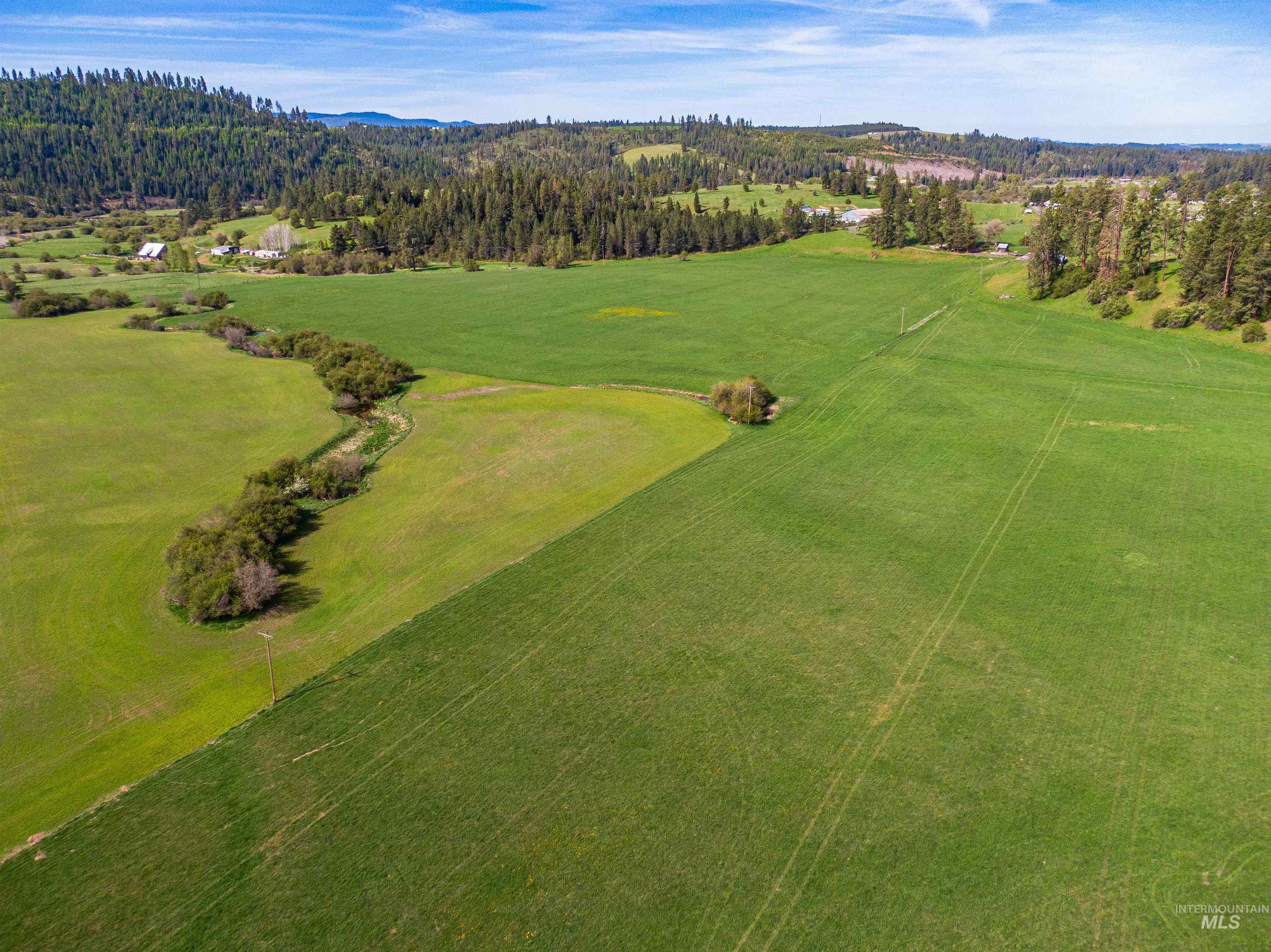 1101 Ruby Creek Rd, Harvard, Idaho 83834, 4 Bedrooms, 2 Bathrooms, Residential For Sale, Price $3,995,000, 98977261