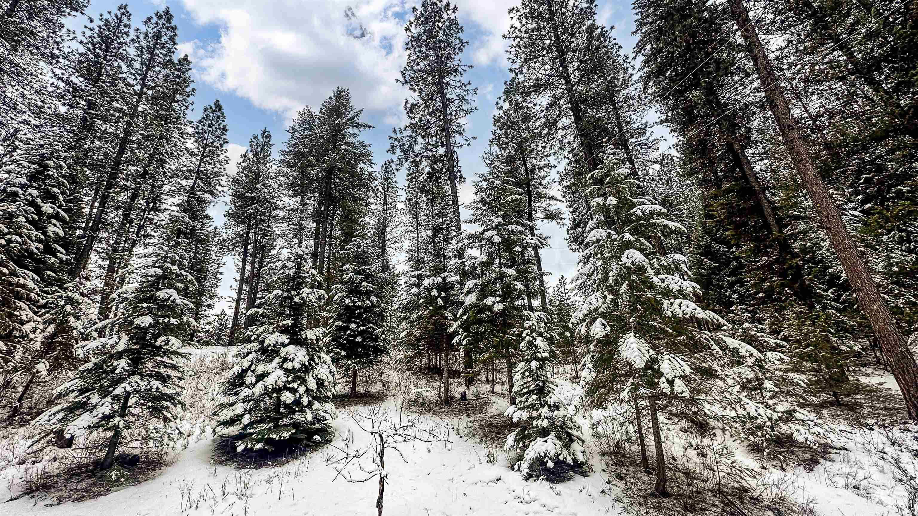 5 Pump House Rd, Garden Valley, Idaho 83622, 2 Bedrooms, 1 Bathroom, Residential For Sale, Price $475,000,MLS 98977267