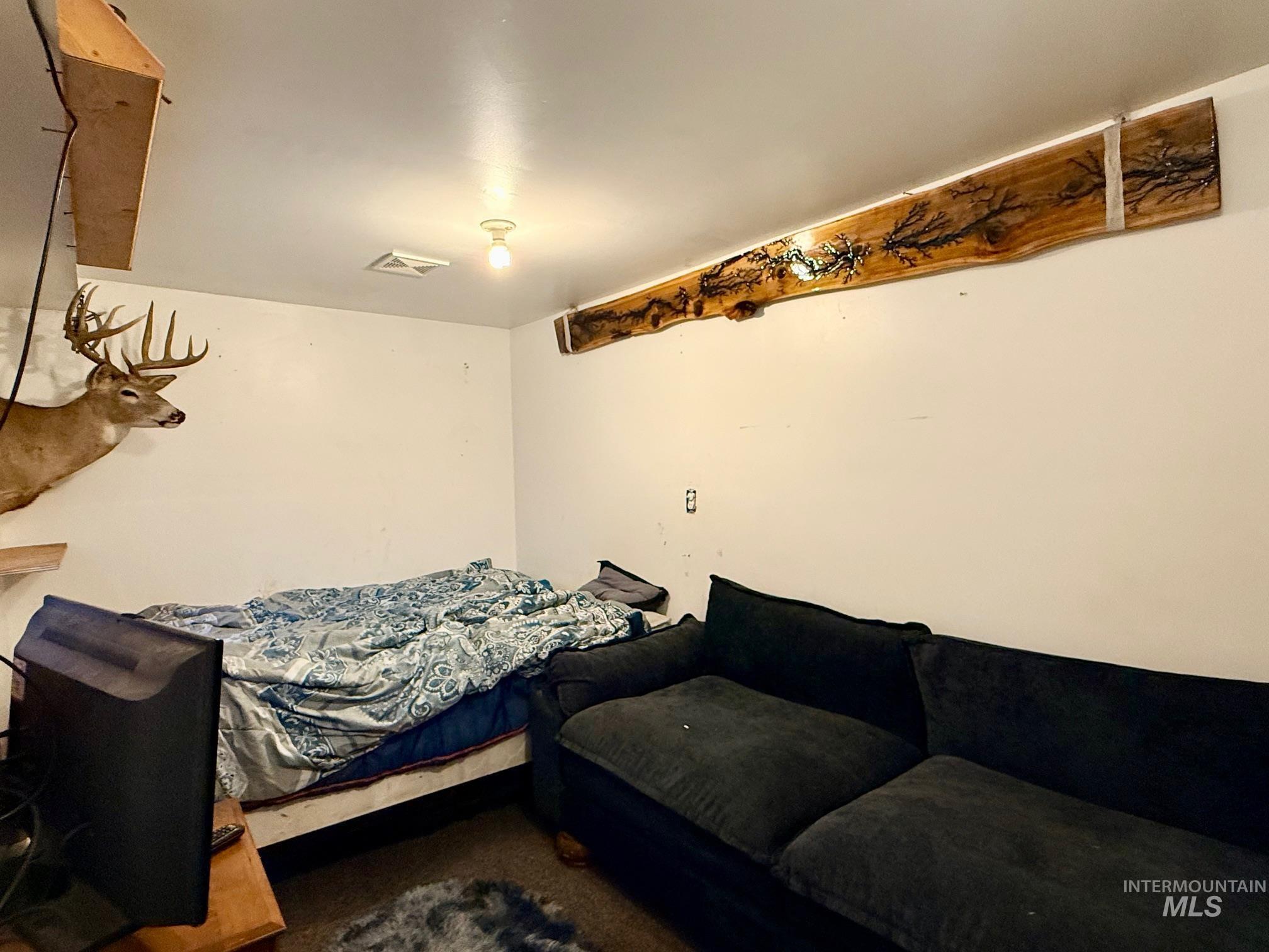 335 N Pine St, Peck, Idaho 83545, 1 Bedroom, 1 Bathroom, Residential For Sale, Price $299,000,MLS 98977273