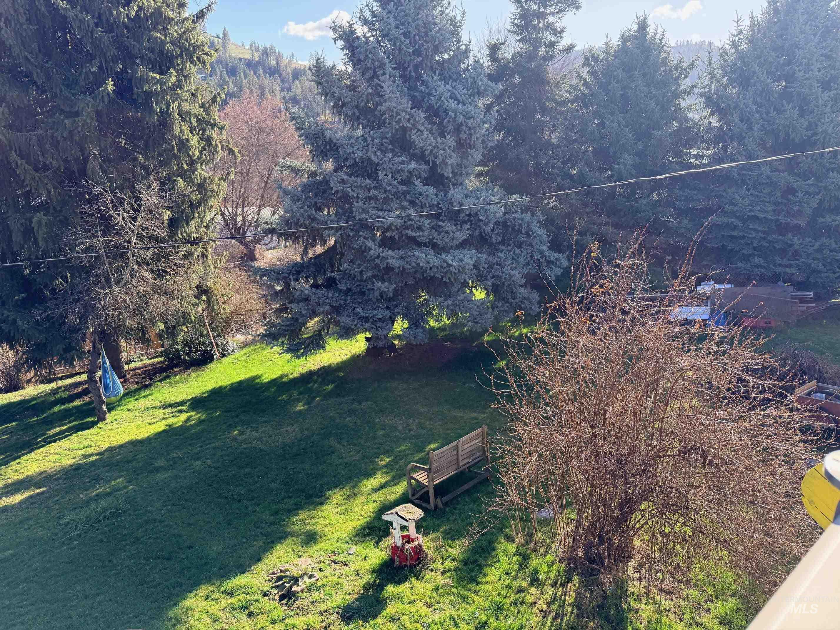 335 N Pine St, Peck, Idaho 83545, 1 Bedroom, 1 Bathroom, Residential For Sale, Price $299,000,MLS 98977273